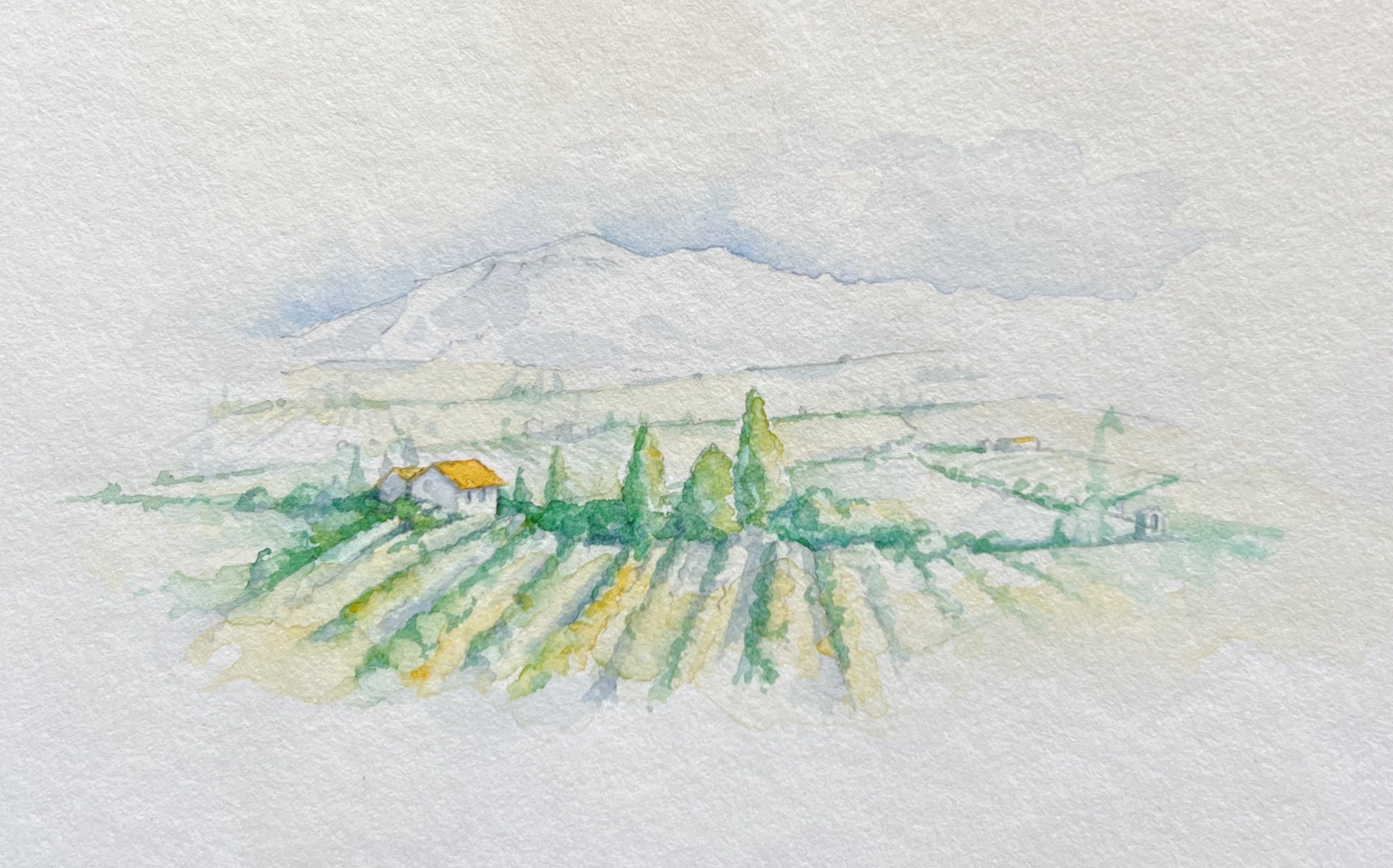 Watercolour of Rhone vineyard