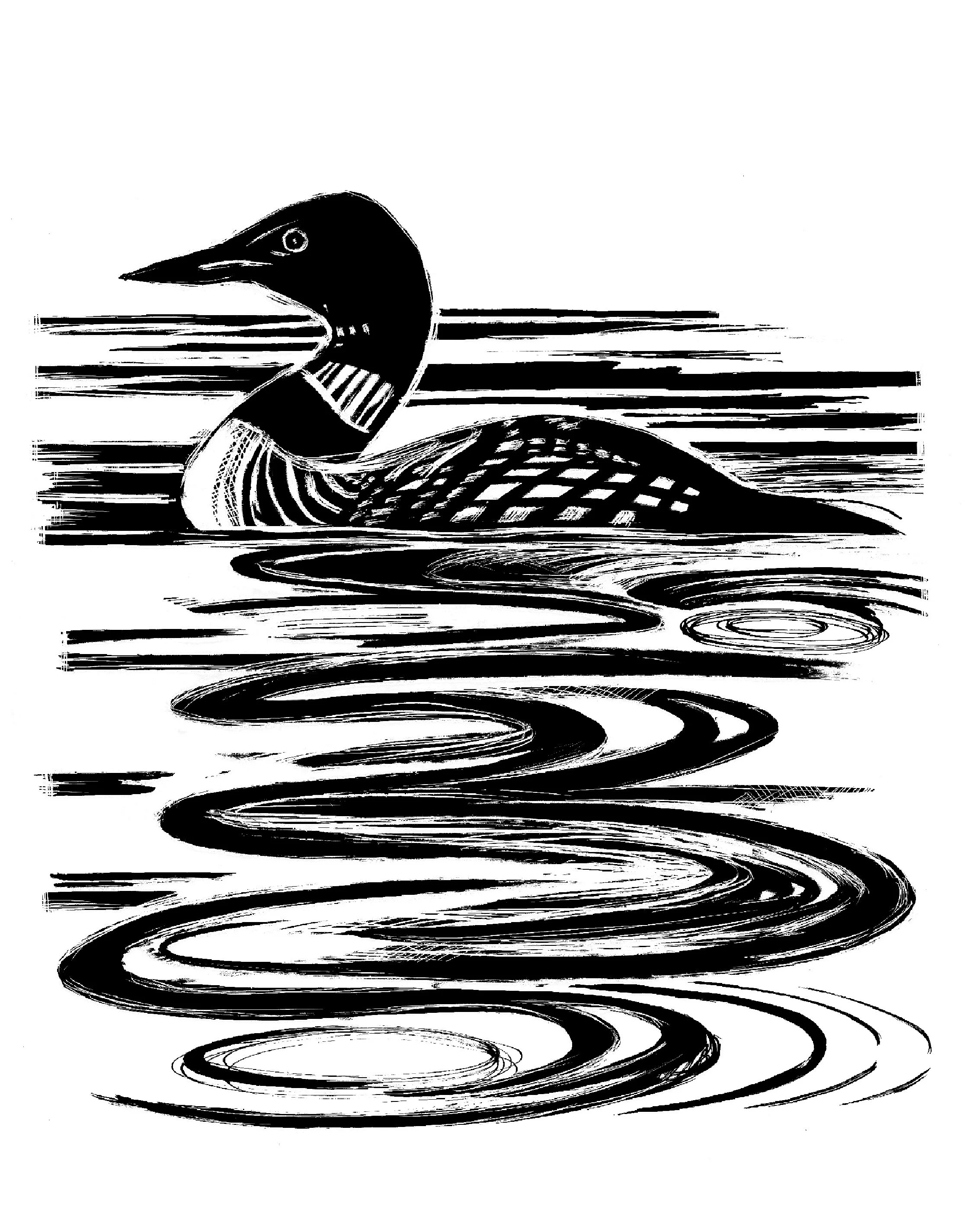 Loon print June 24 copy.jpg