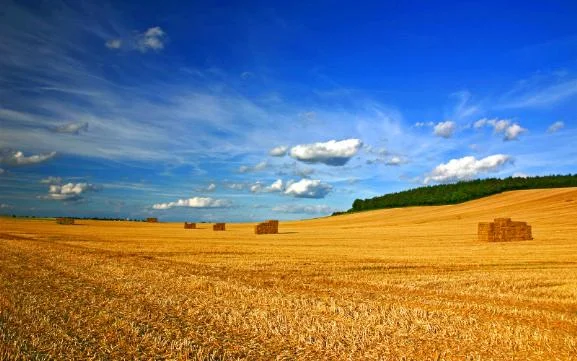 Drones, Sensors and Software, Oh My