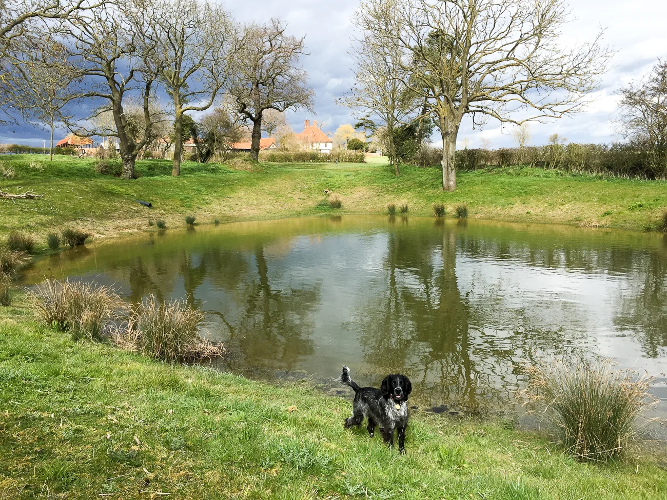 Ancient quarry and the Lodge in the background