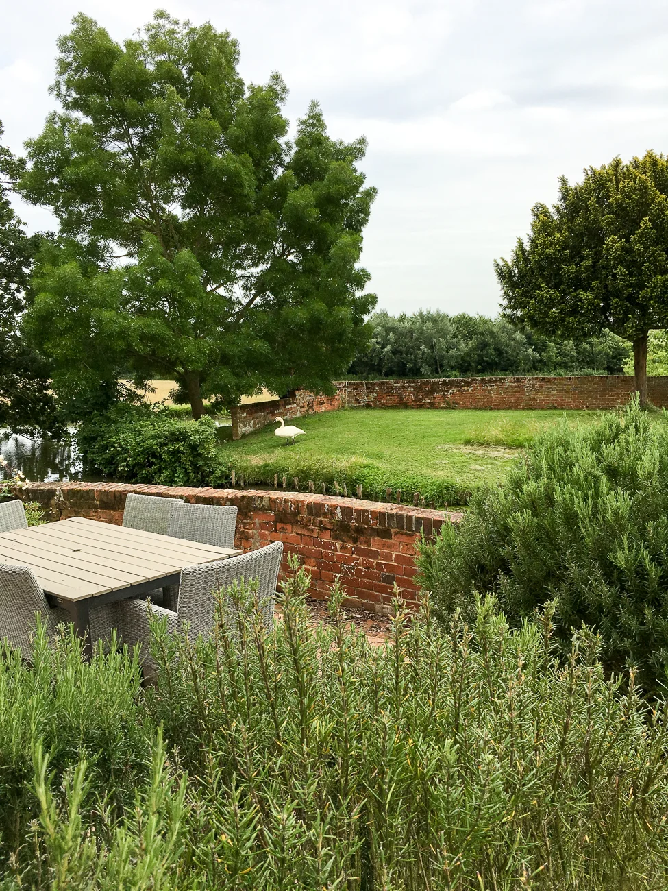 View across the moat to the swan's nest