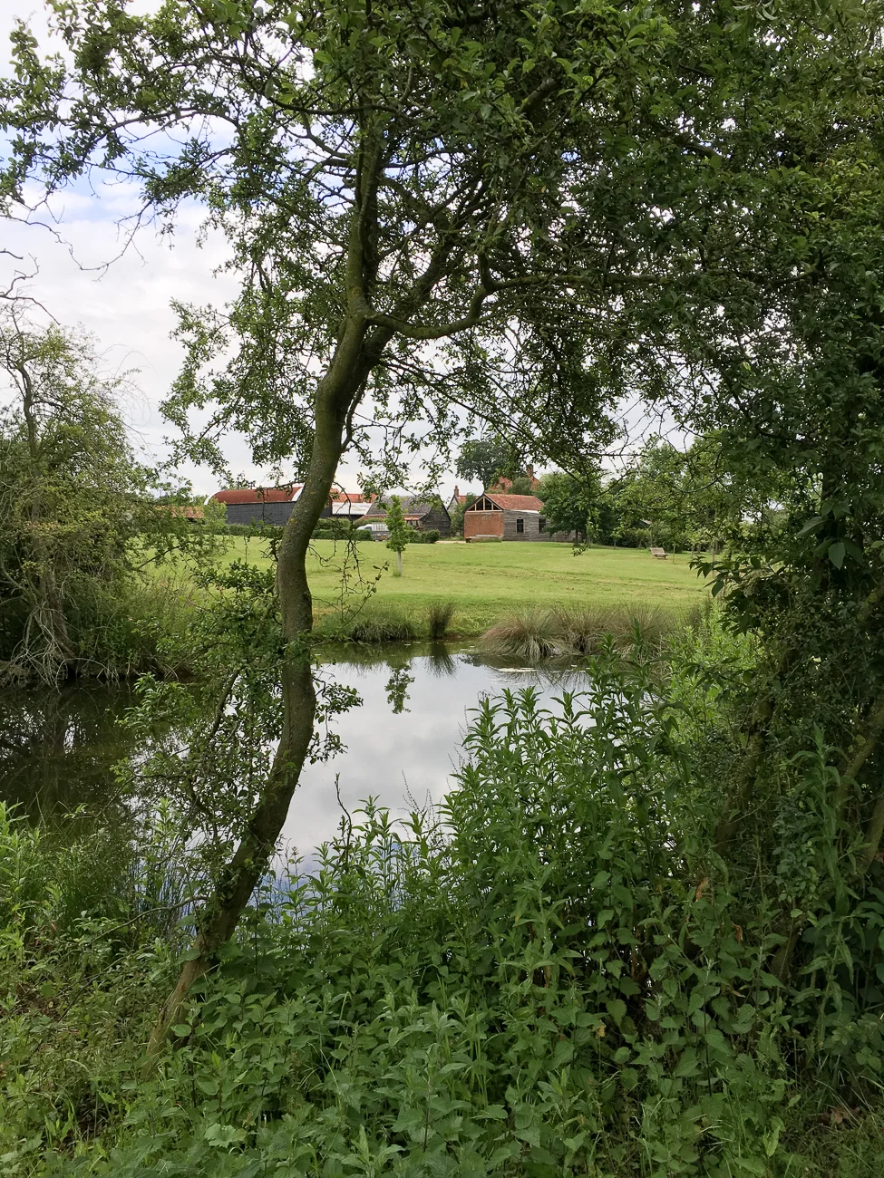 View across the oldest pond to the farm buildings