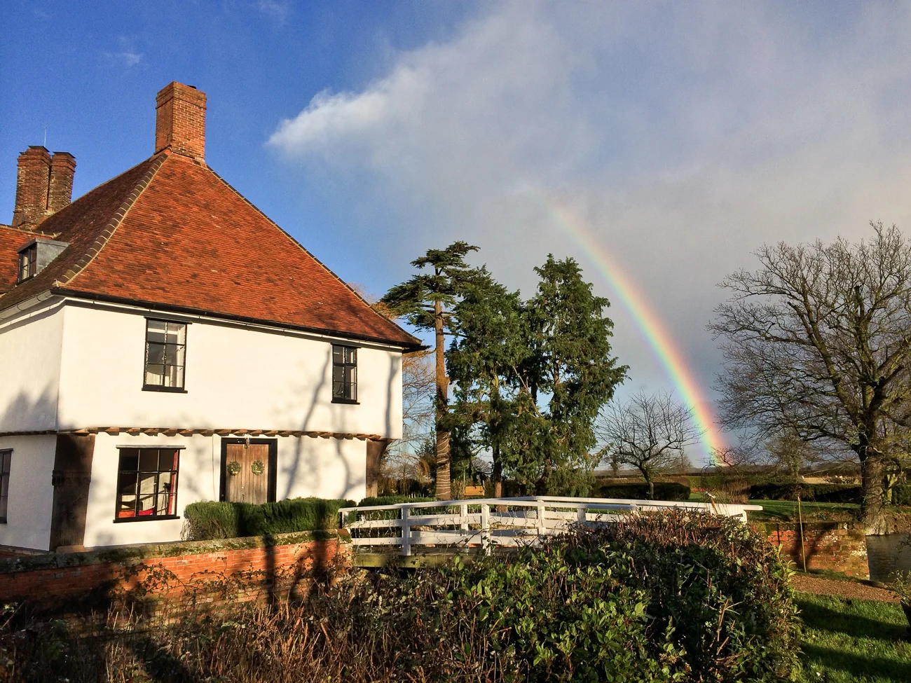 A rainbow in the fire garden