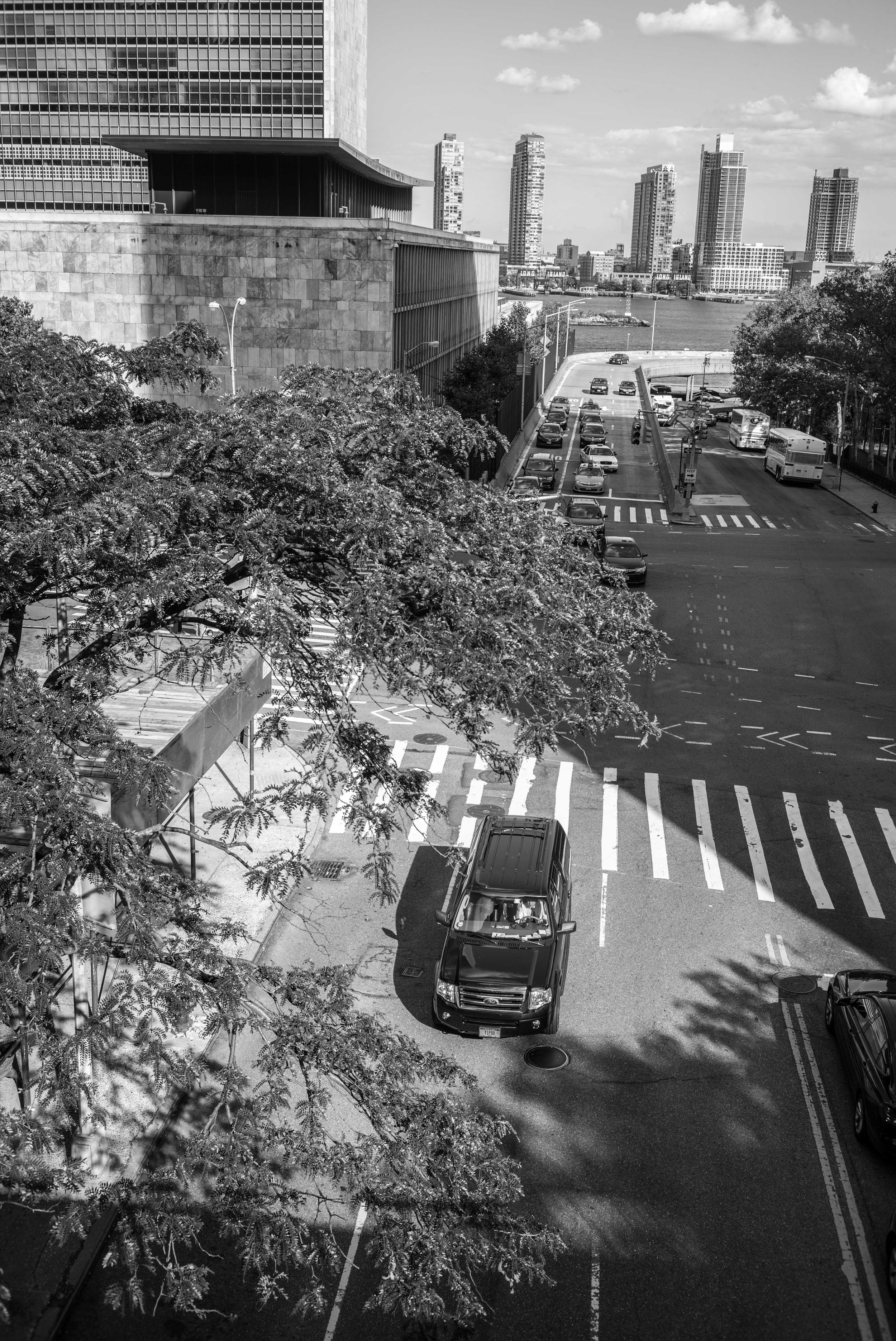 L1001077.jpg