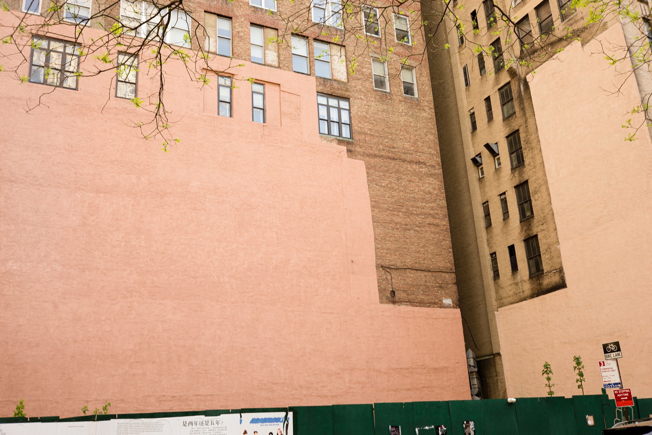 L1000686.jpg