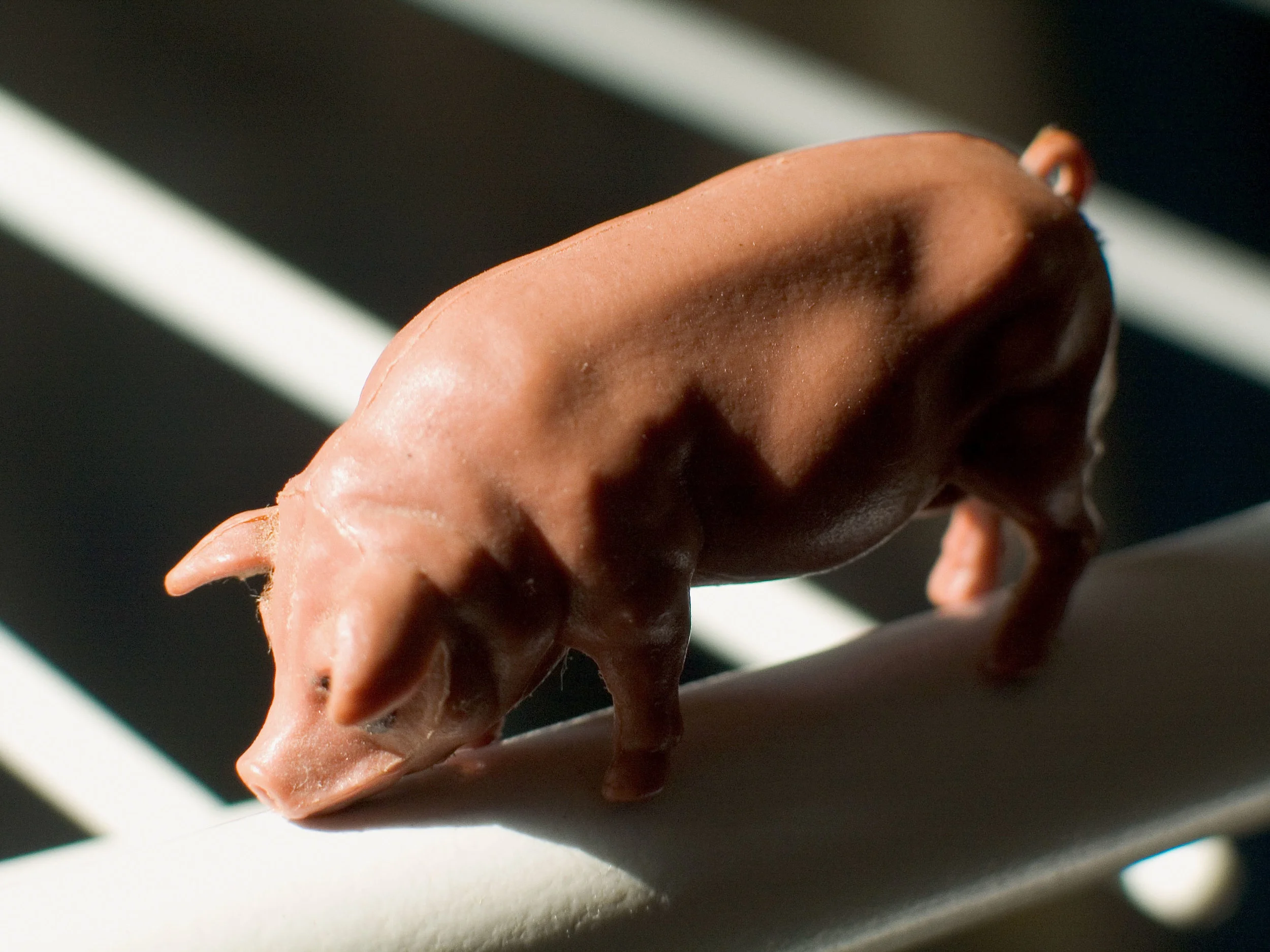 My Plate, Your Passport: The Offal and Ignored