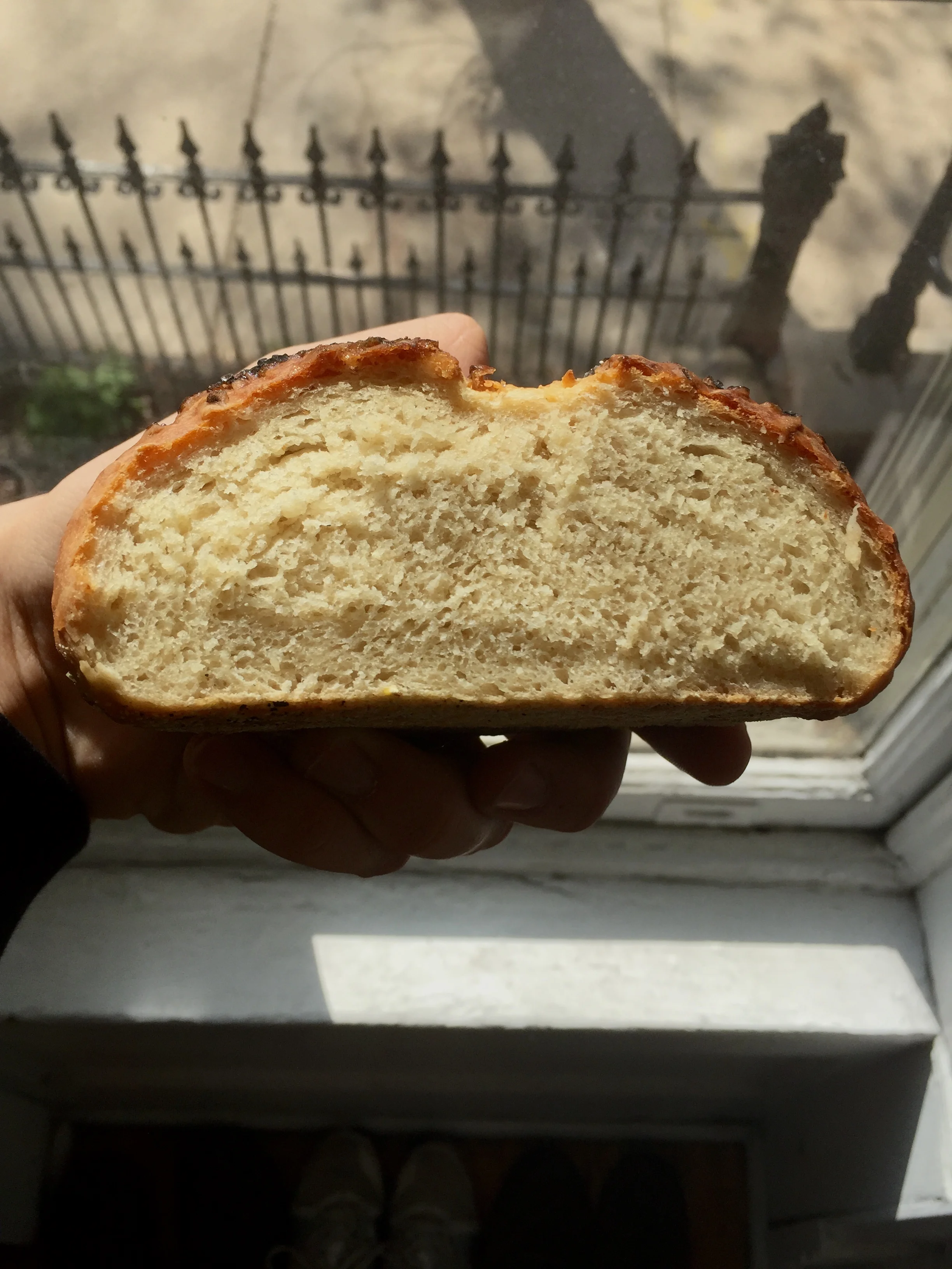 FullSizeRender.jpg