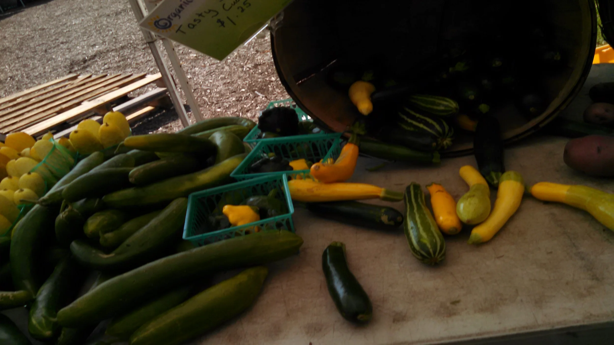 My Plate, Your Passport: Considering "Gnarly" Produce