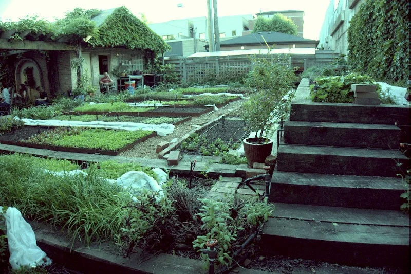 A Garden Oasis in an Urban Jungle