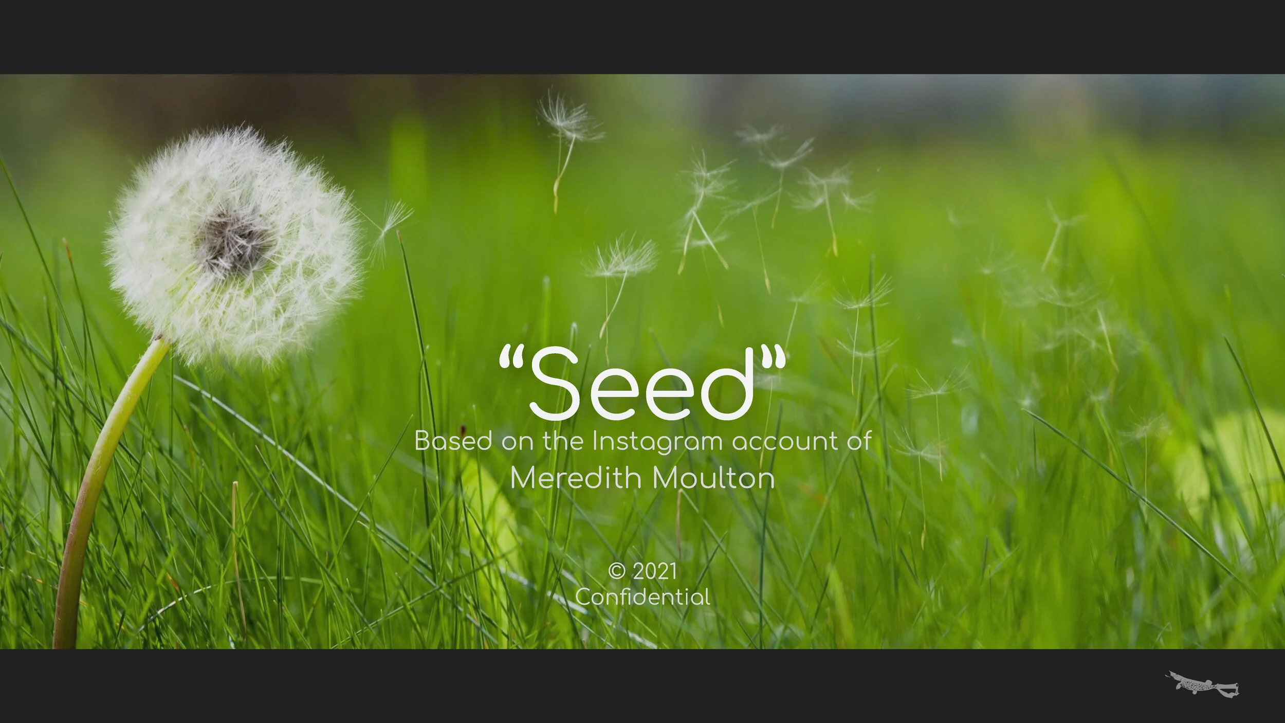 Seed -- Quick Pitch Deck_Page_02.jpg