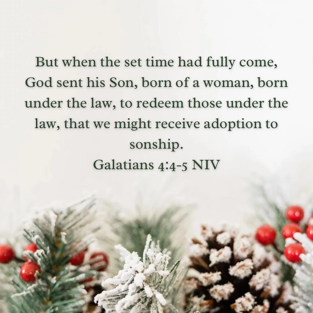 Merry Christmas! Take time to enjoy the holiday with family and friends, and remember the reason for it!
#merrychristmas #merrychristmas2024 #thankful #holiday #winter #emmanuel #godwithus