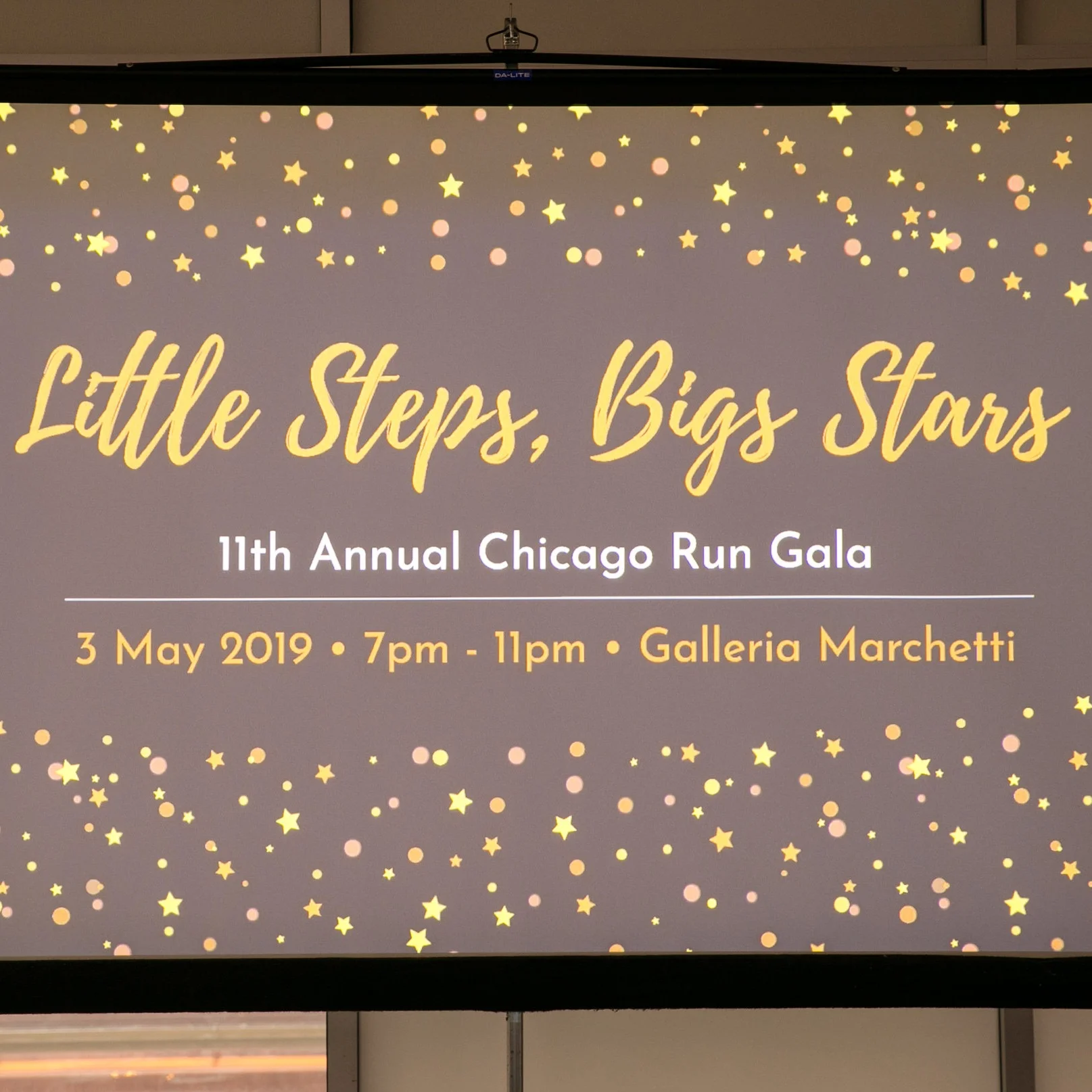 11th Annual Little Steps, Big Stars Gala - May 2019