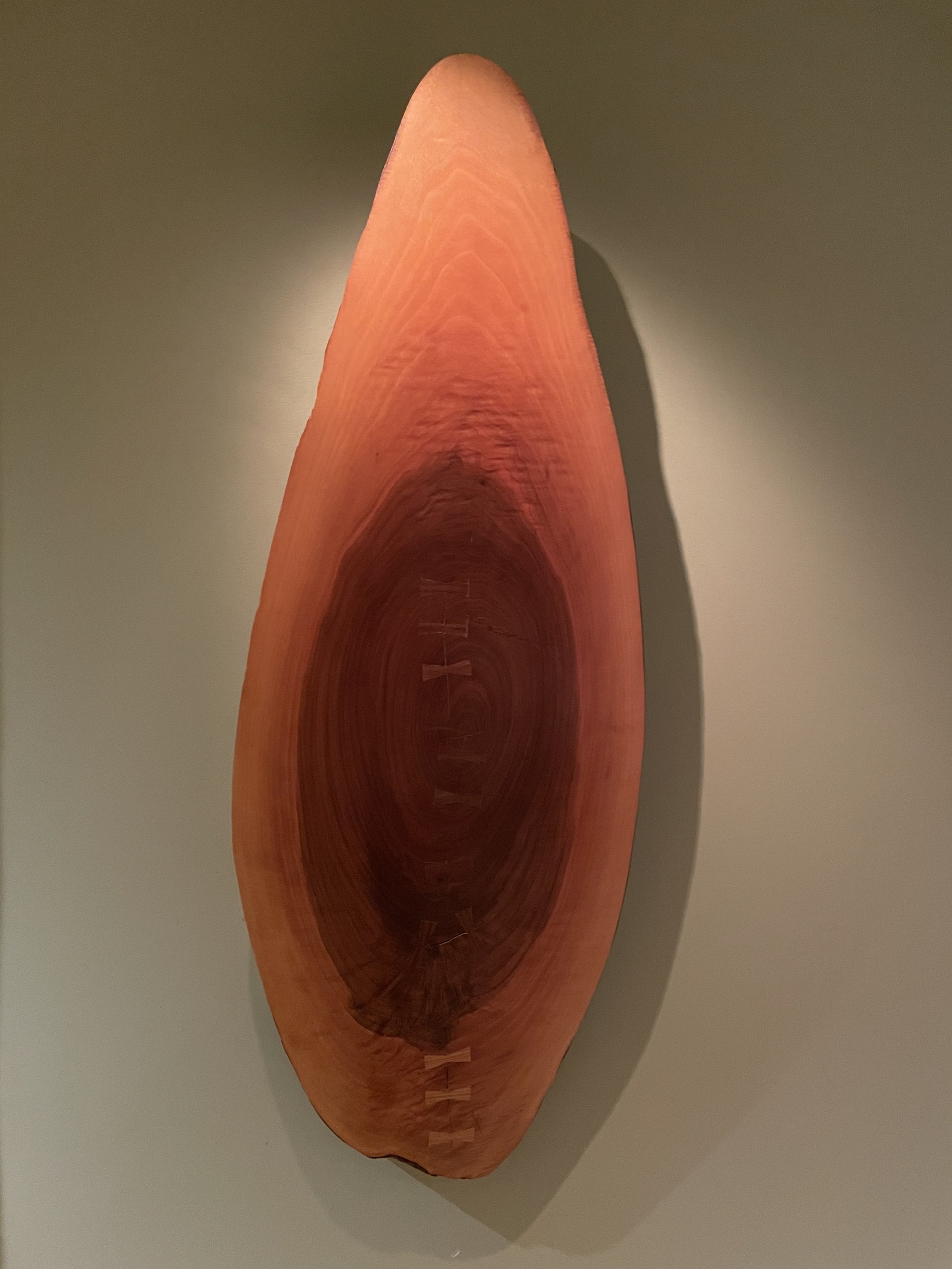 Shield with Scars.jpg