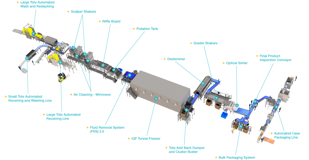 A diagram of an end-to-end blueberry processing line with each piece of machinery labeled. .
