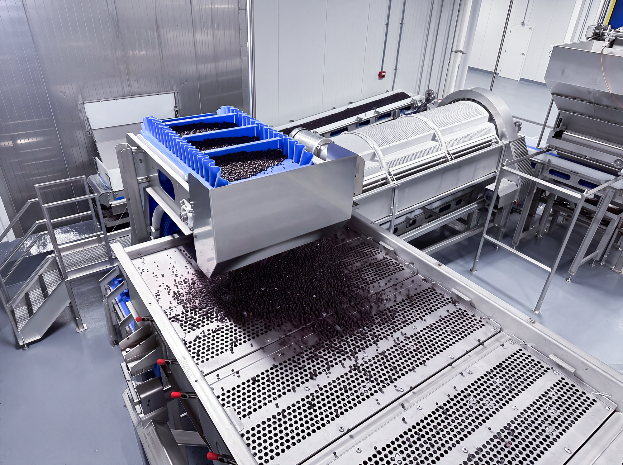 A weigh hopper with stainless steel tanks, a control panel, and blue conveyor rollers in a factory setting used for strawberries.