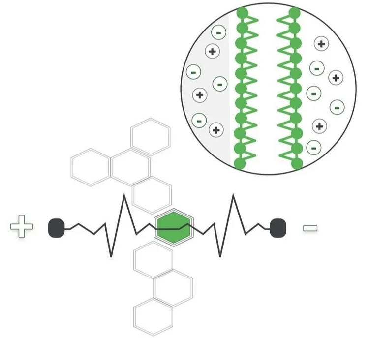 Pulsed Electric Field — FPS Food Process Solutions