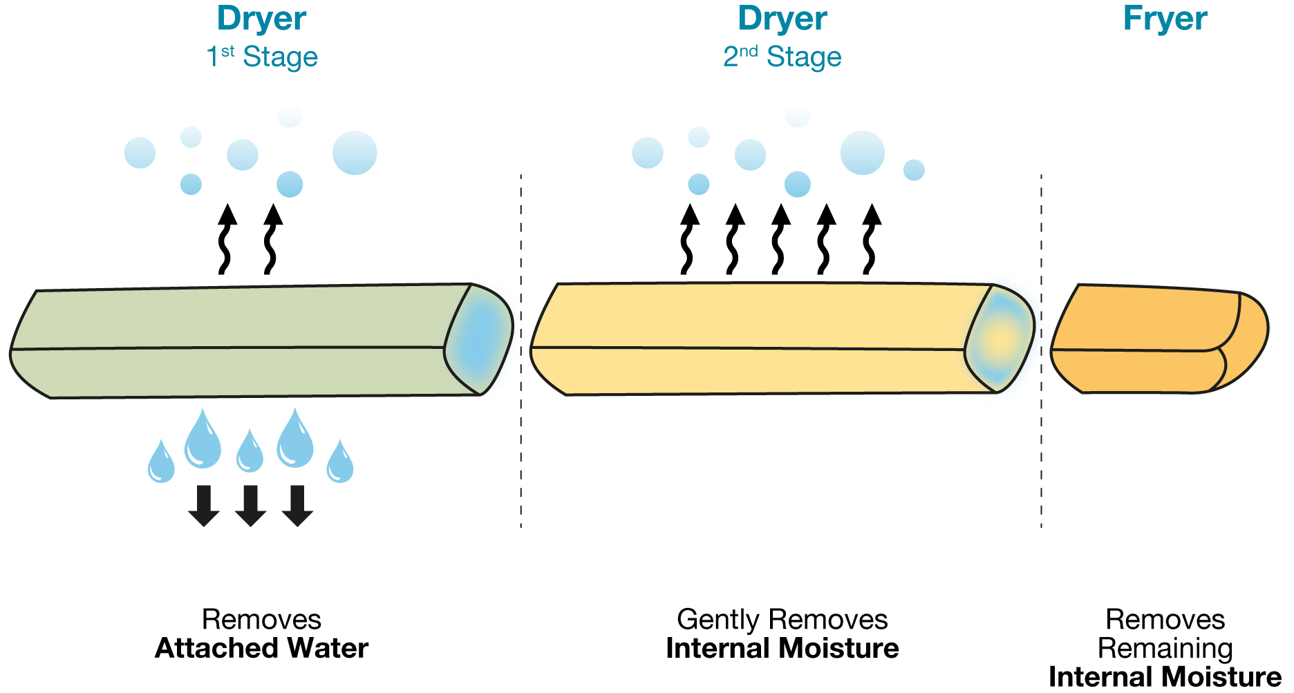 Graphic of the drying process of a French Fry