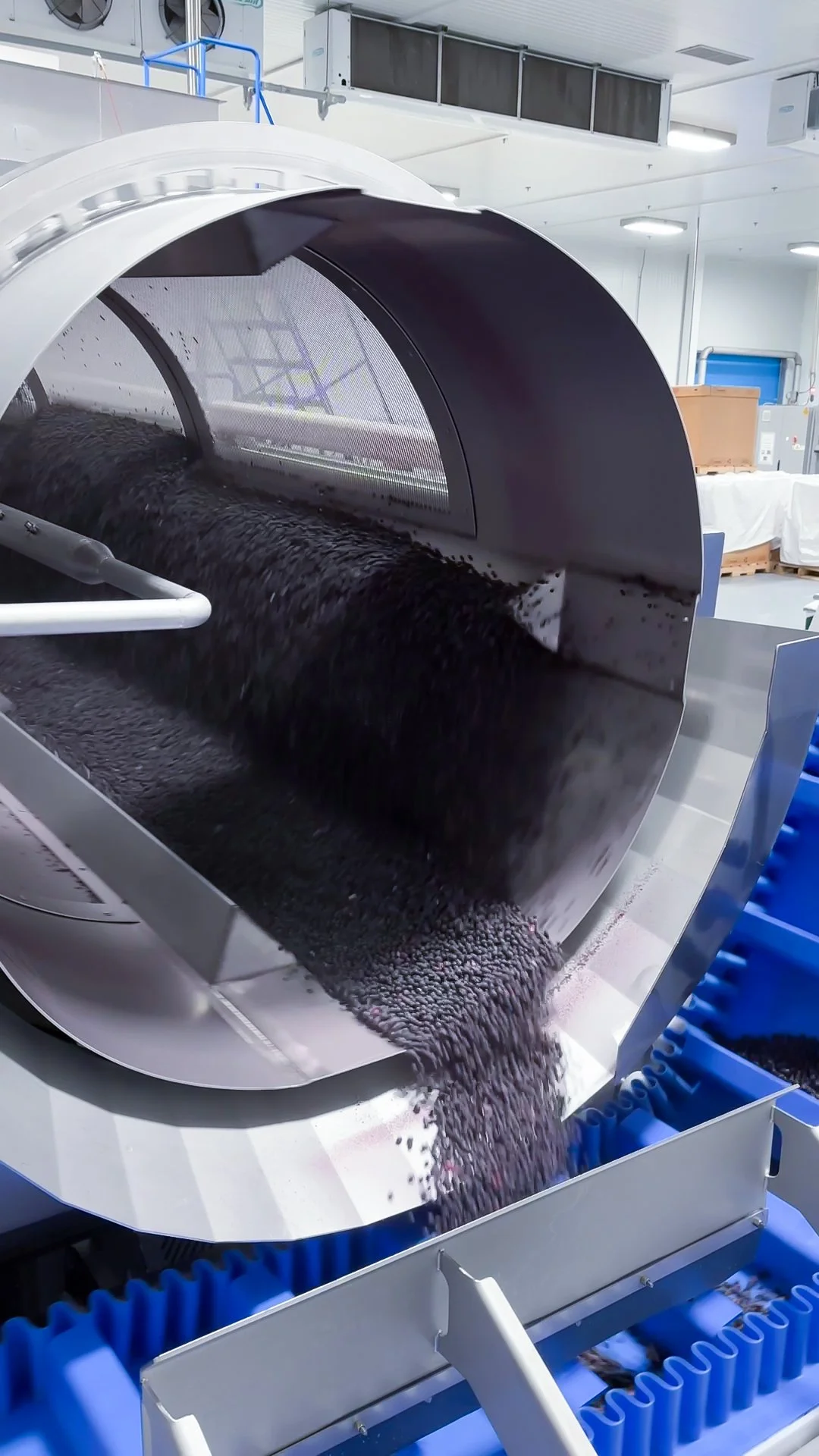 An industrial metal tube machine that is processing blueberries as part of FPS's blueberry end-to end processing line.