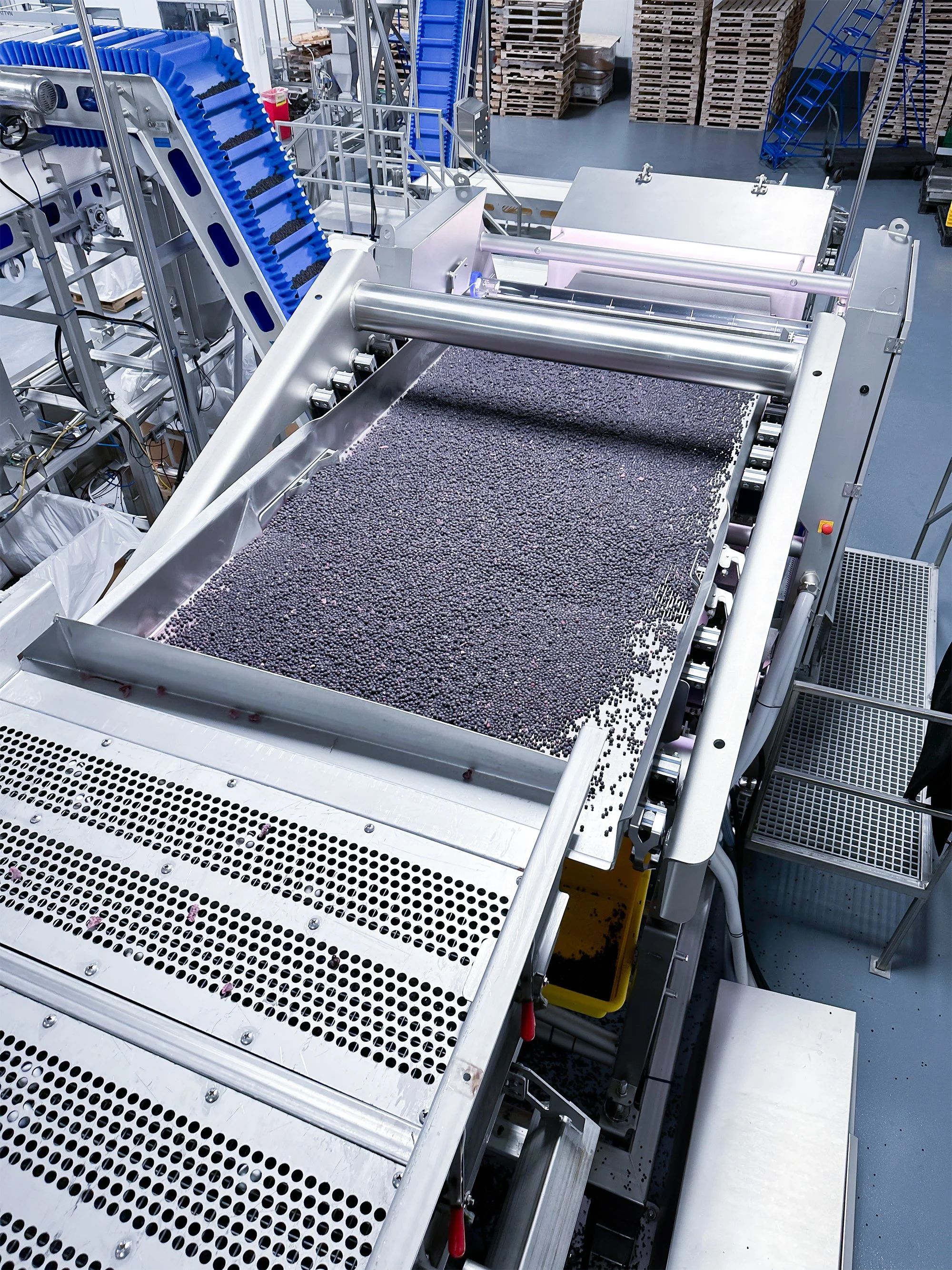 Pan washer with pipes, valves, and motors in a factory setting washing strawberries.