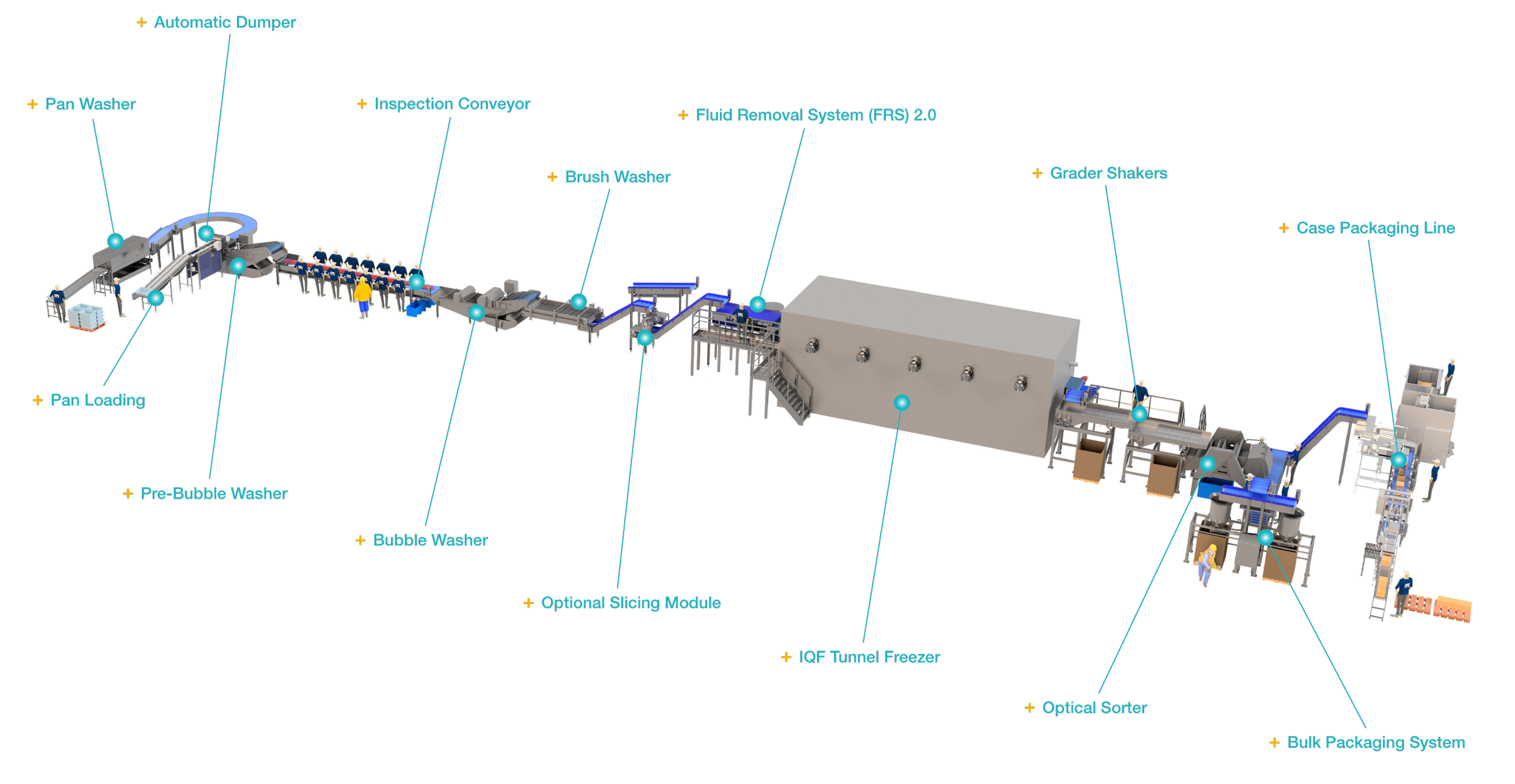 A detailed diagram of an end-to-end strawberry processing line with arrows and labels for each part of the line.