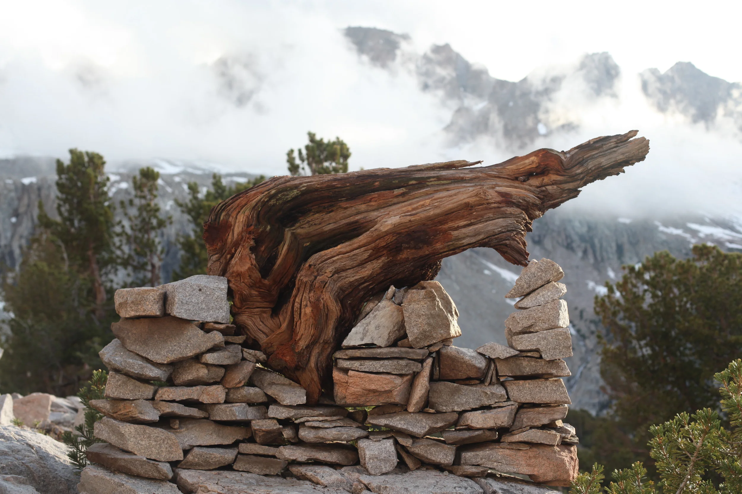 'Forsester'-2001 Sierra Nevada Mountains, California