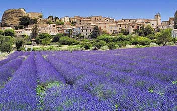 marseille.jpg