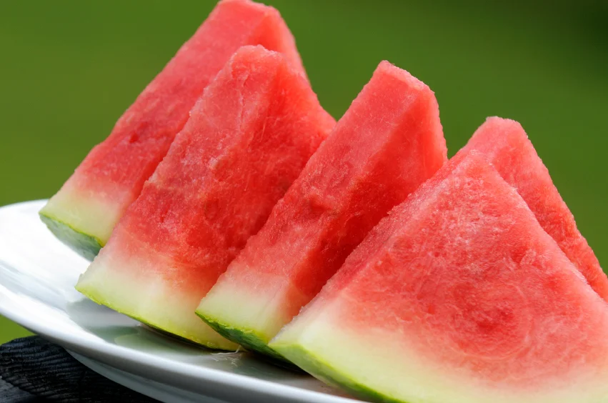 Watermelon Slices