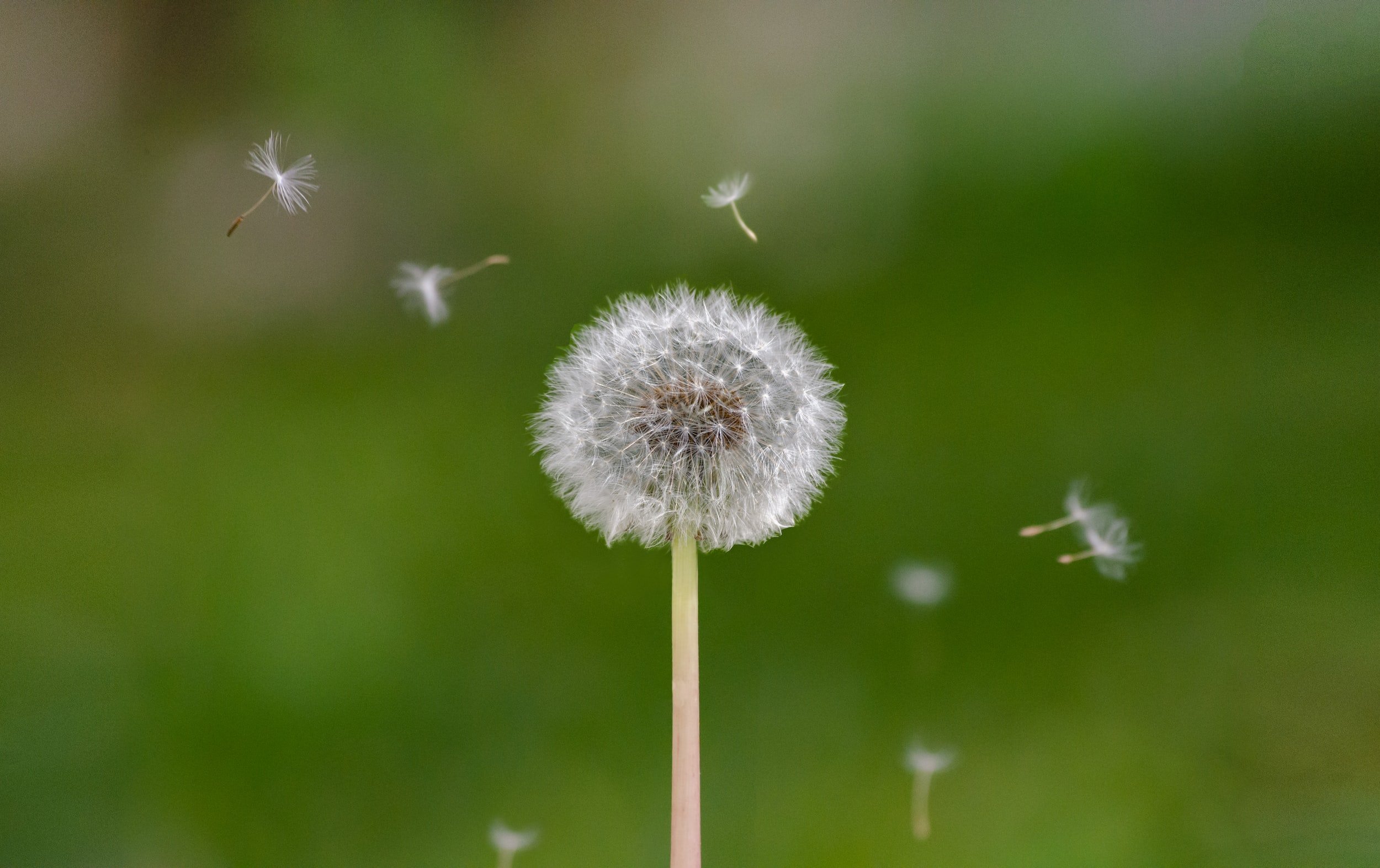 10 Quotes On Being Resilient