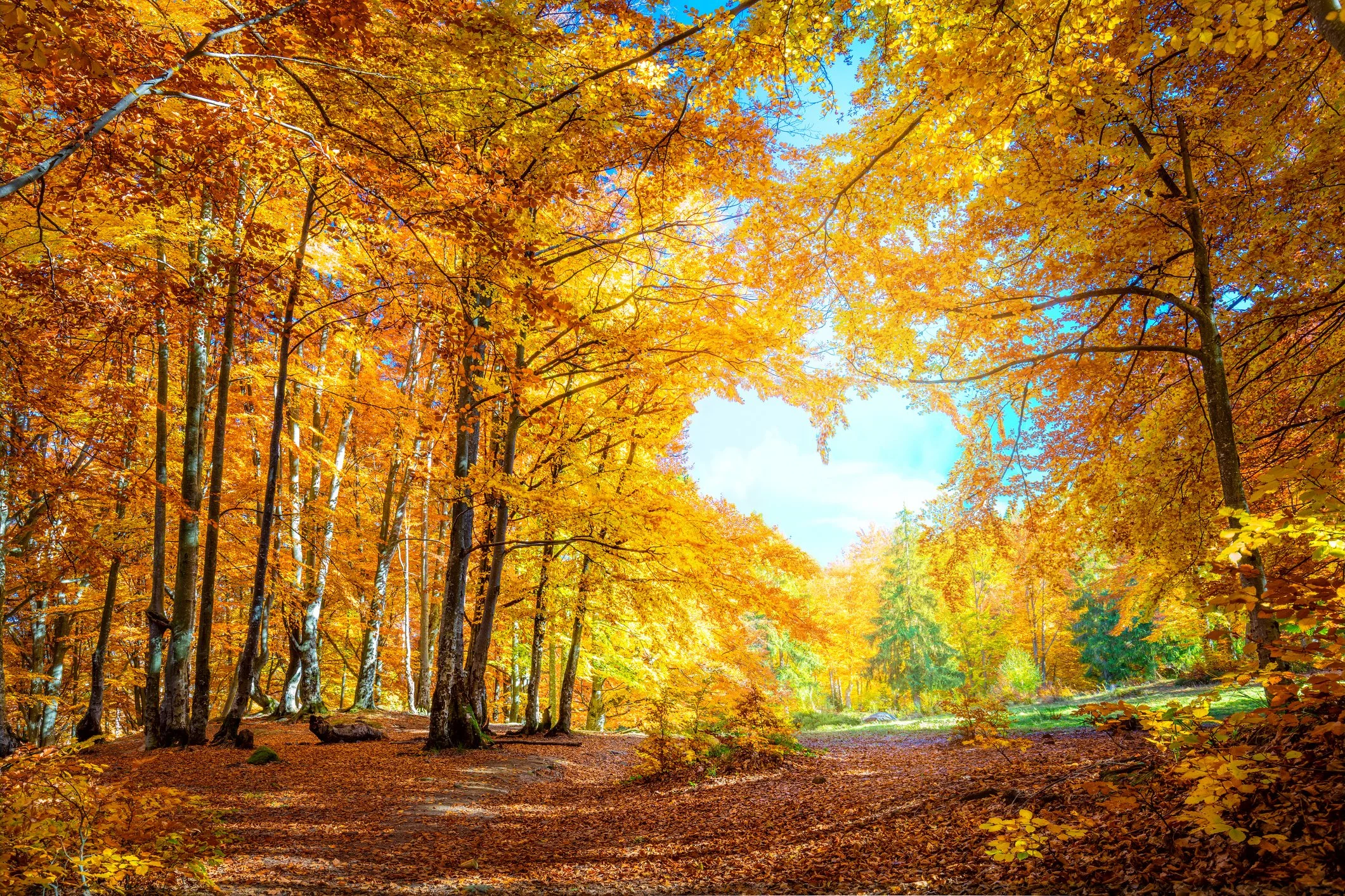 Things to Do and Love About September: Embracing the Start of Fall
