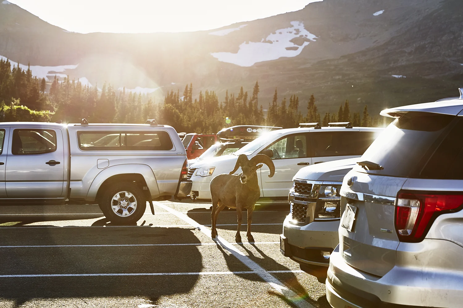 OUTWEST_1027 copy.jpg