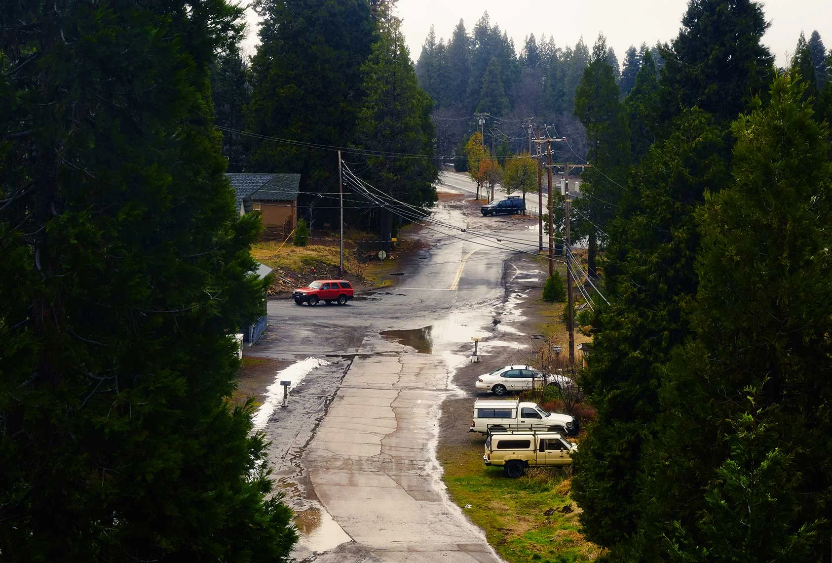 Shasta2_2271e1.jpg