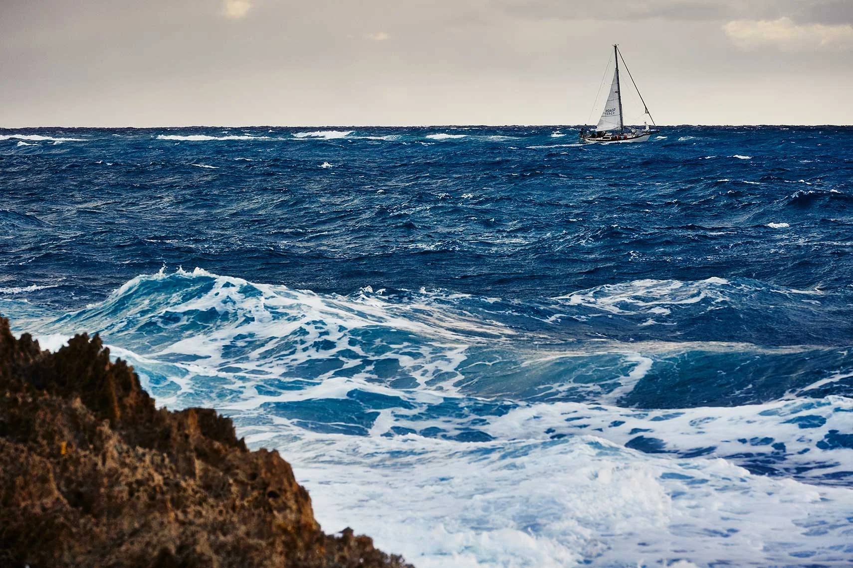 LittleHarborJan17_S7_2825-1e4.jpg