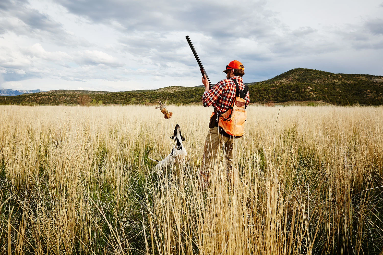 ORVIS_0808-1e2.jpg