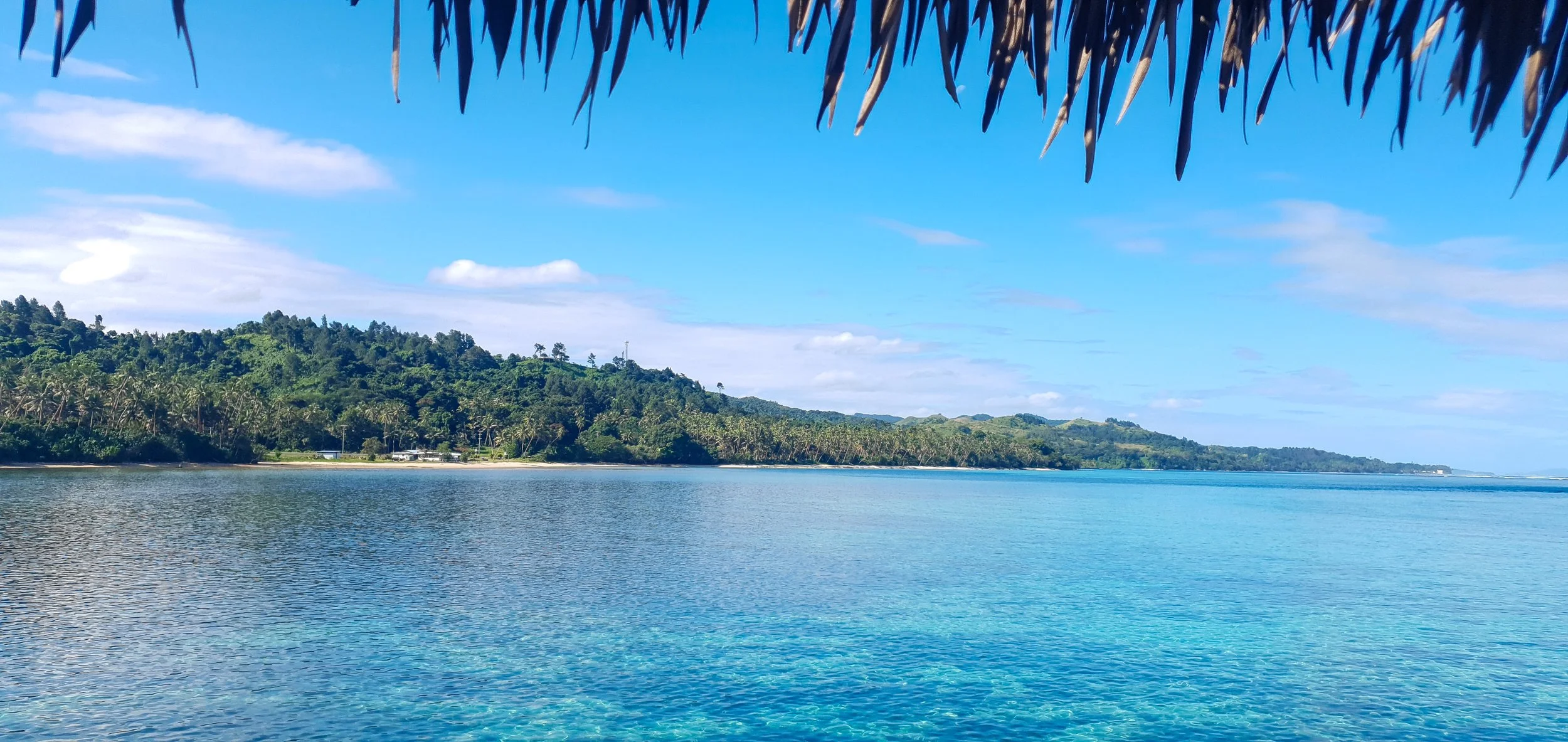 A compelling invitation to a tropical paradise 