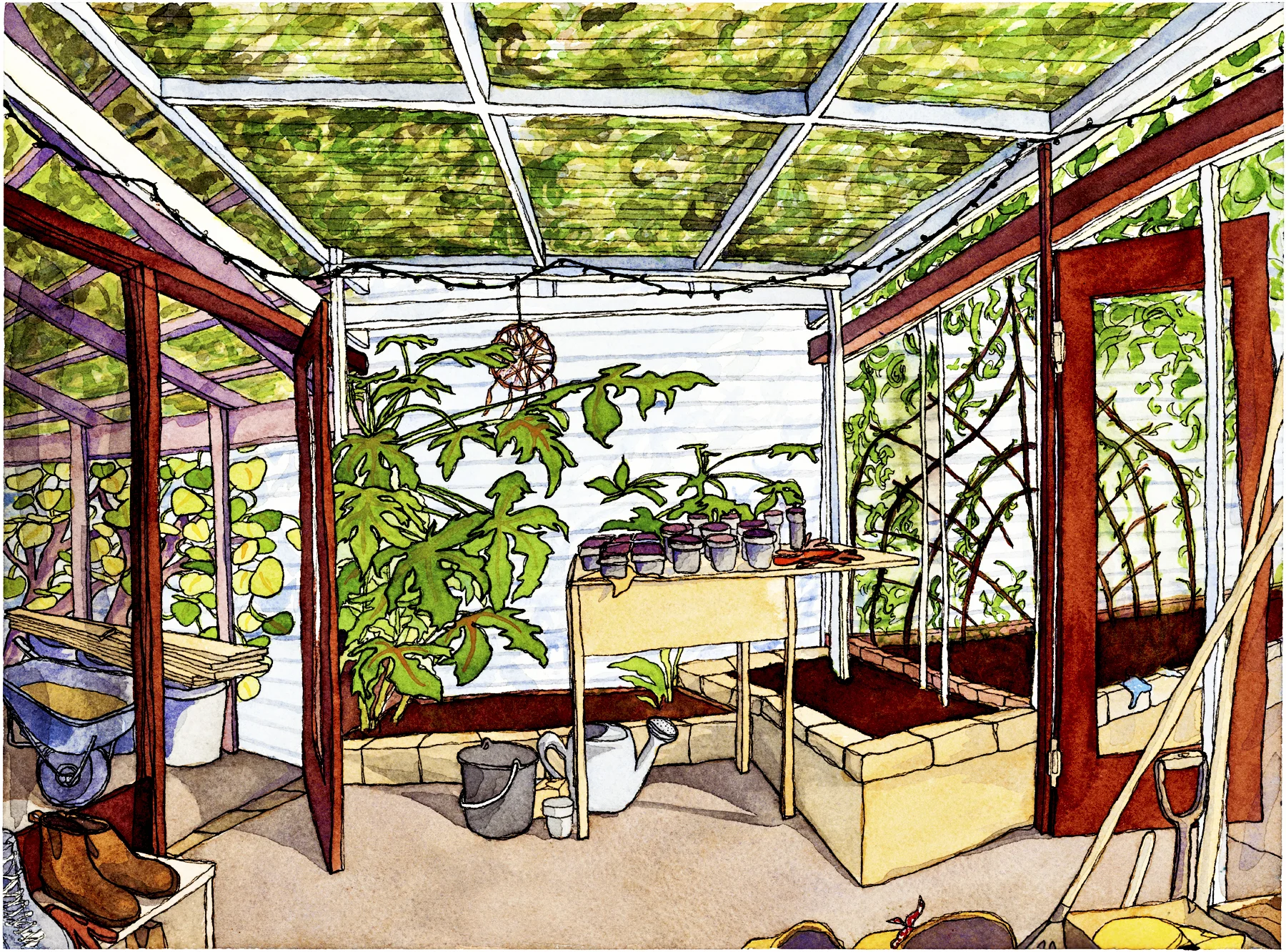 greenhouse.jpg