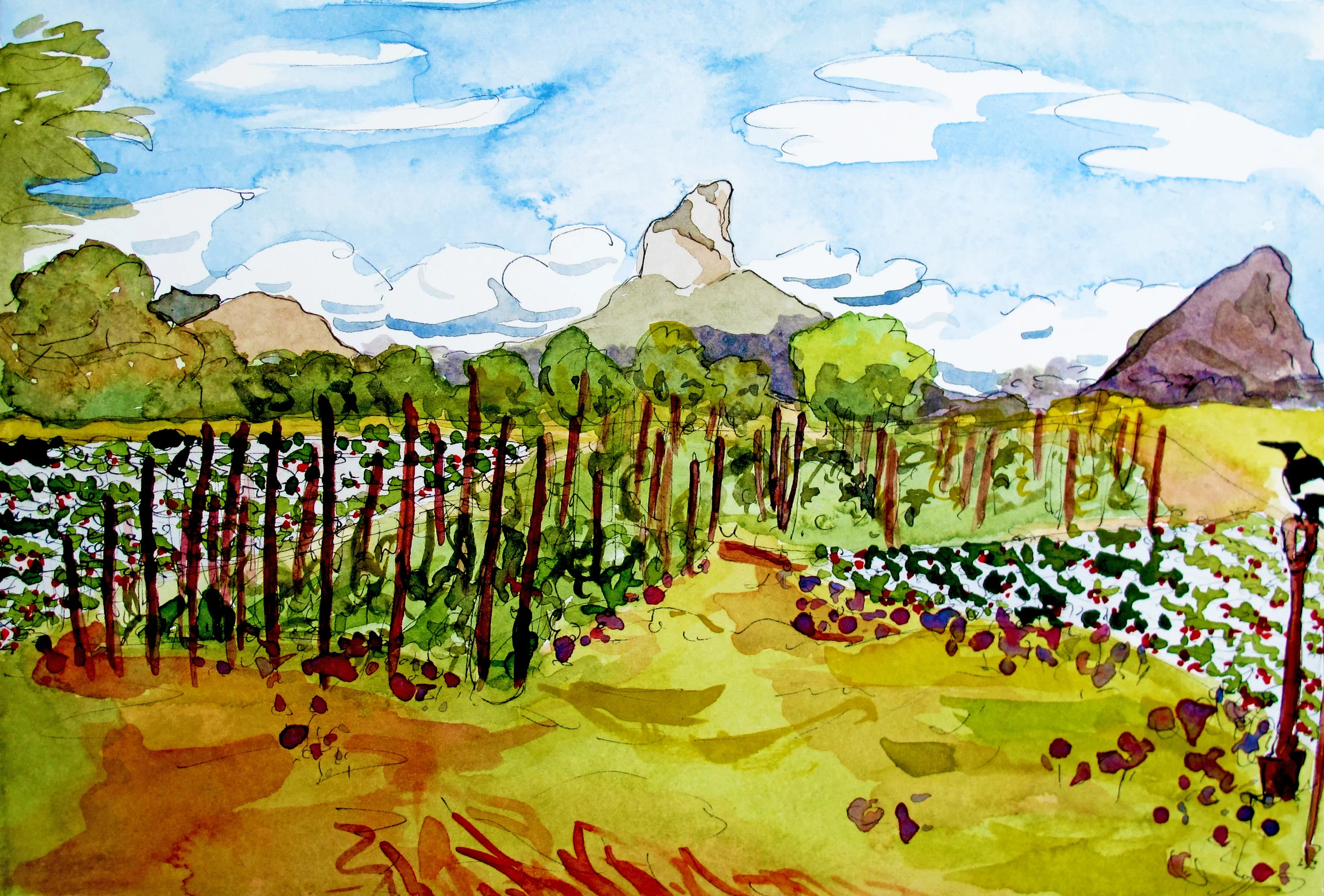 glasshouse mountains.jpg