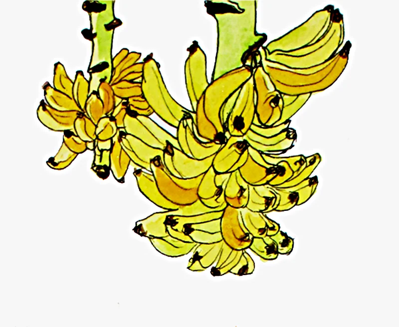 bananas detail.jpg