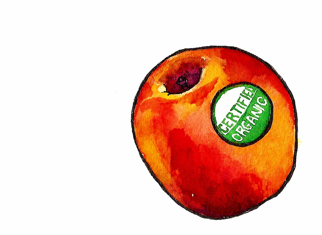 certified organic sticker.jpg