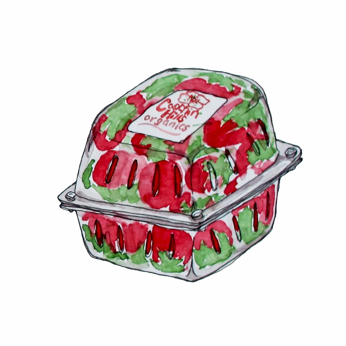strawerry punnet.jpg