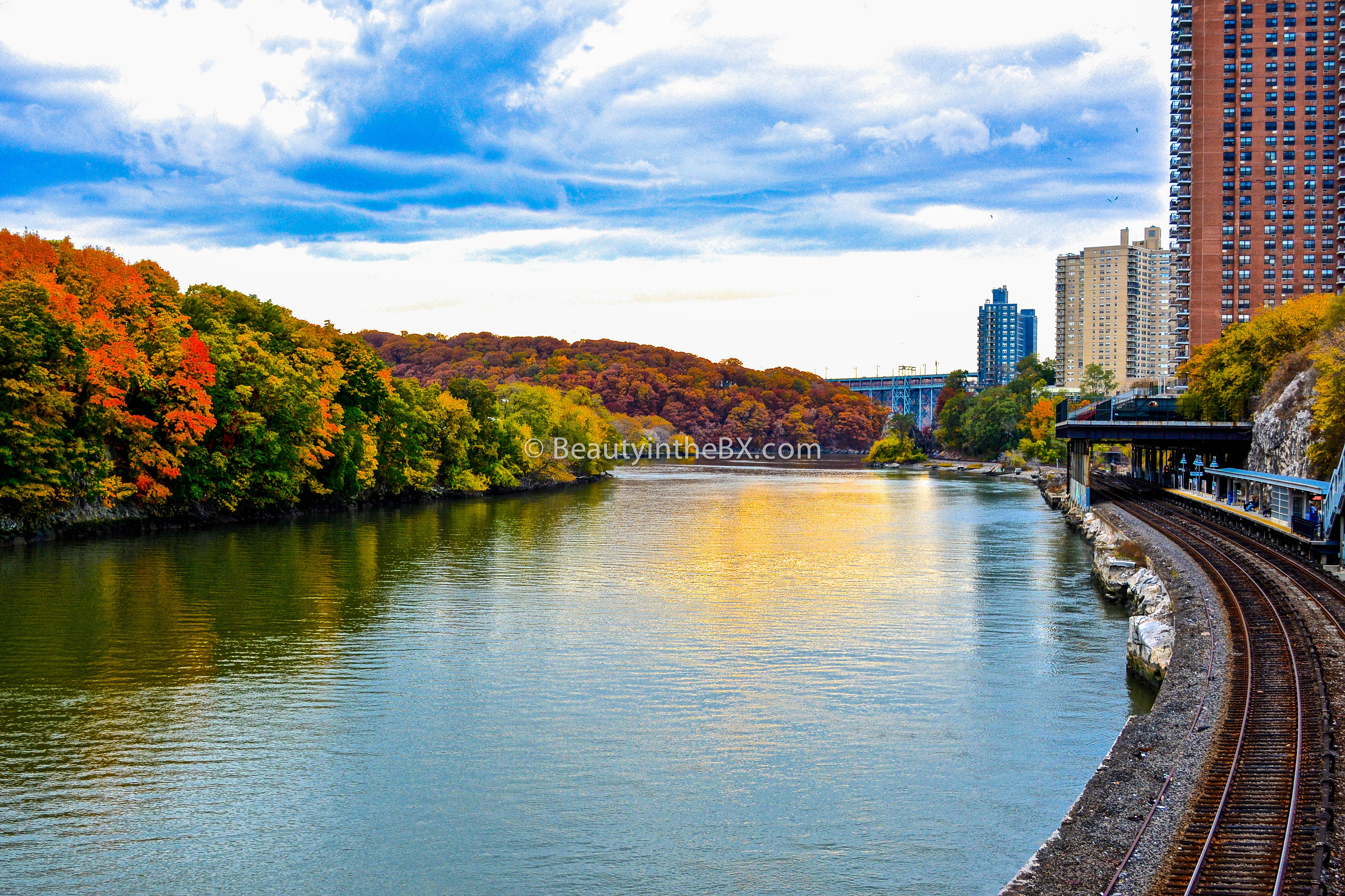 Broadway Bridge- Fall Print