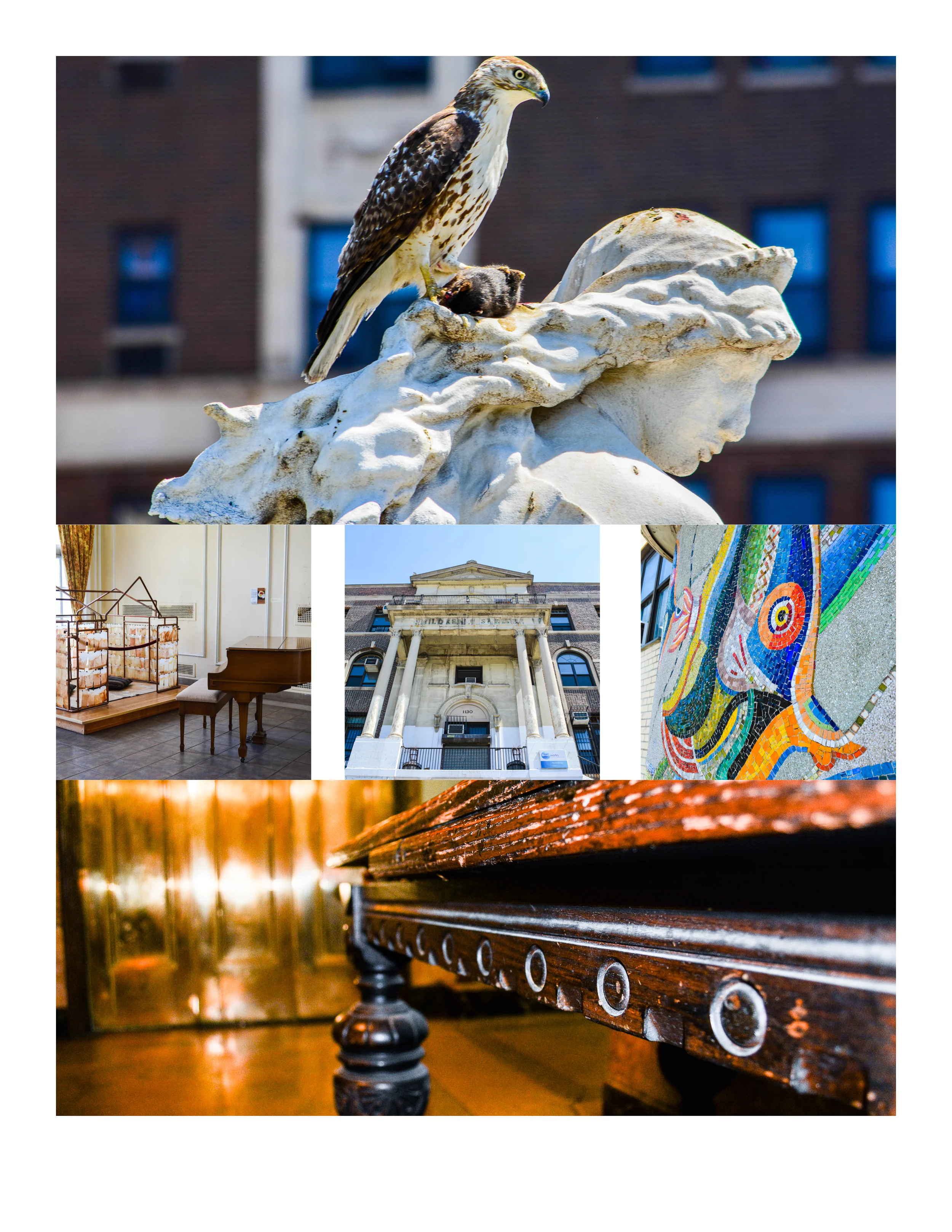 Walking the Grand Concourse With Sam Goodman