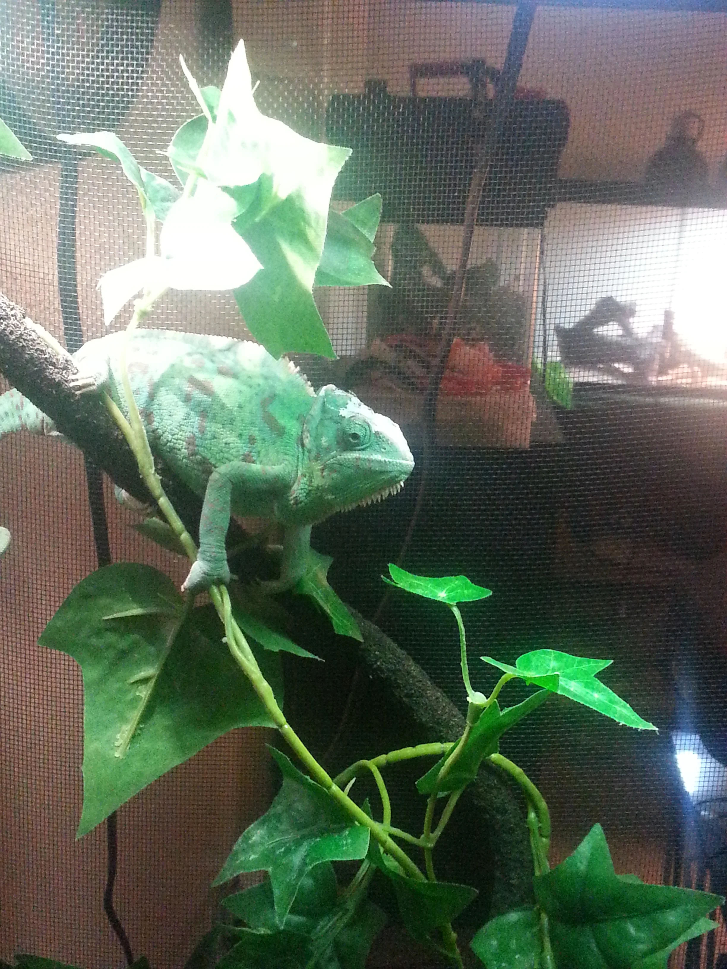 2014-02-14 16.29.43.jpg