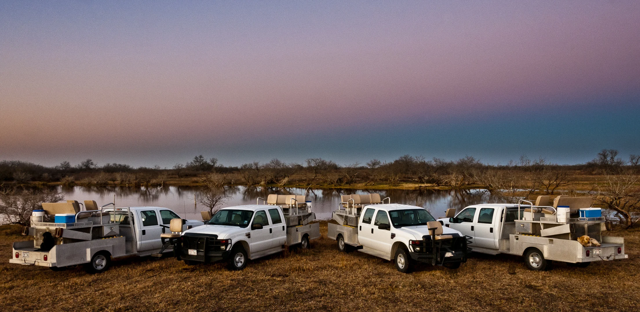 LR-Img_2011-0210-183140-_1080p.jpg