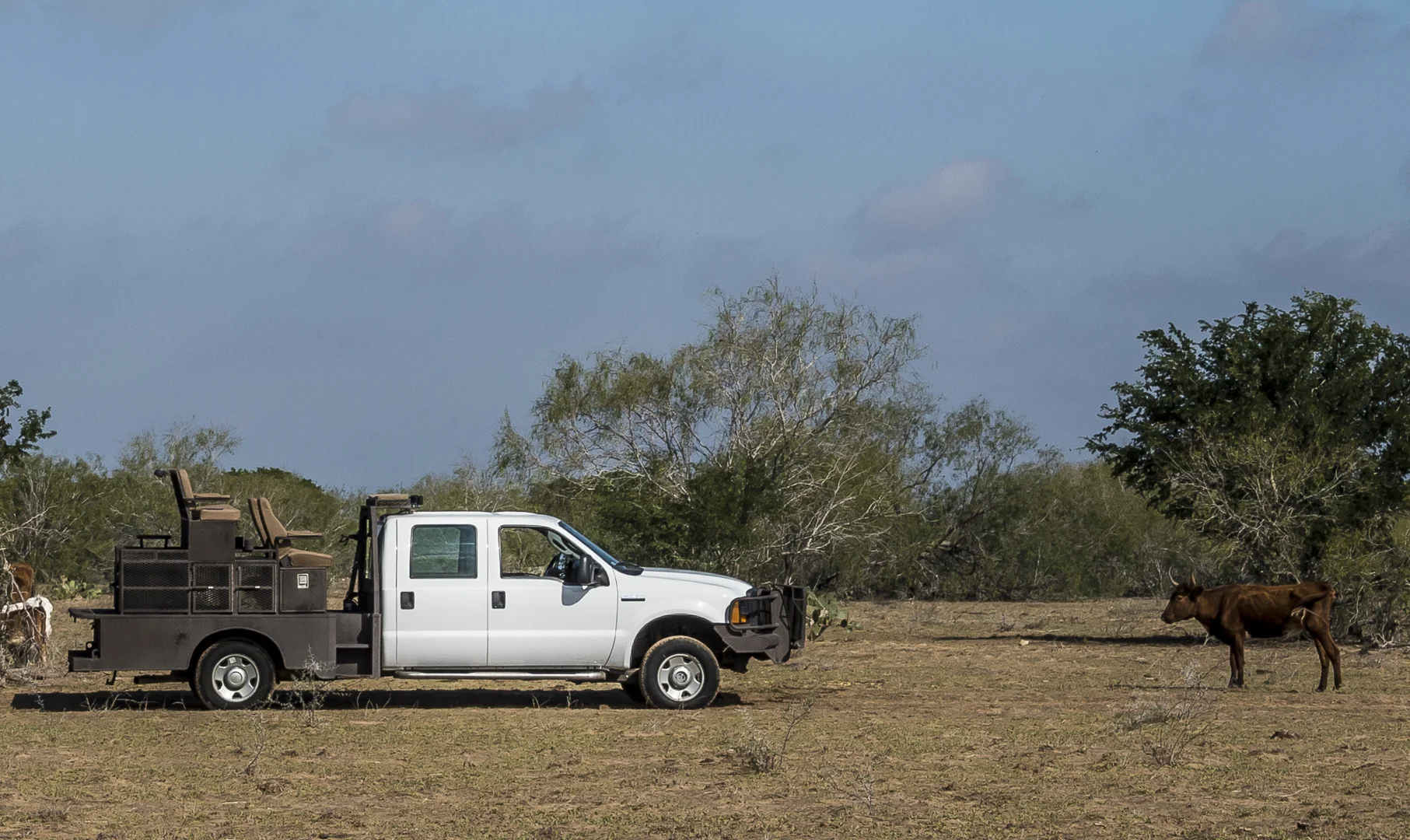 LR-Img_2013-0110-112459-_1080p-2.jpg