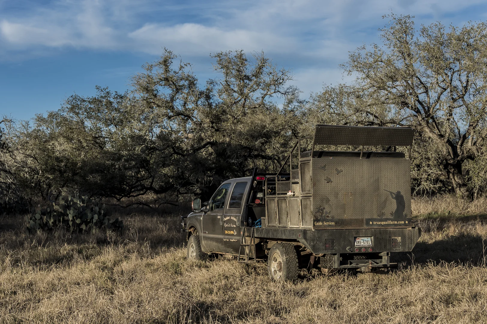LR-Img_2013-0227-175305-3-_1080p.jpg