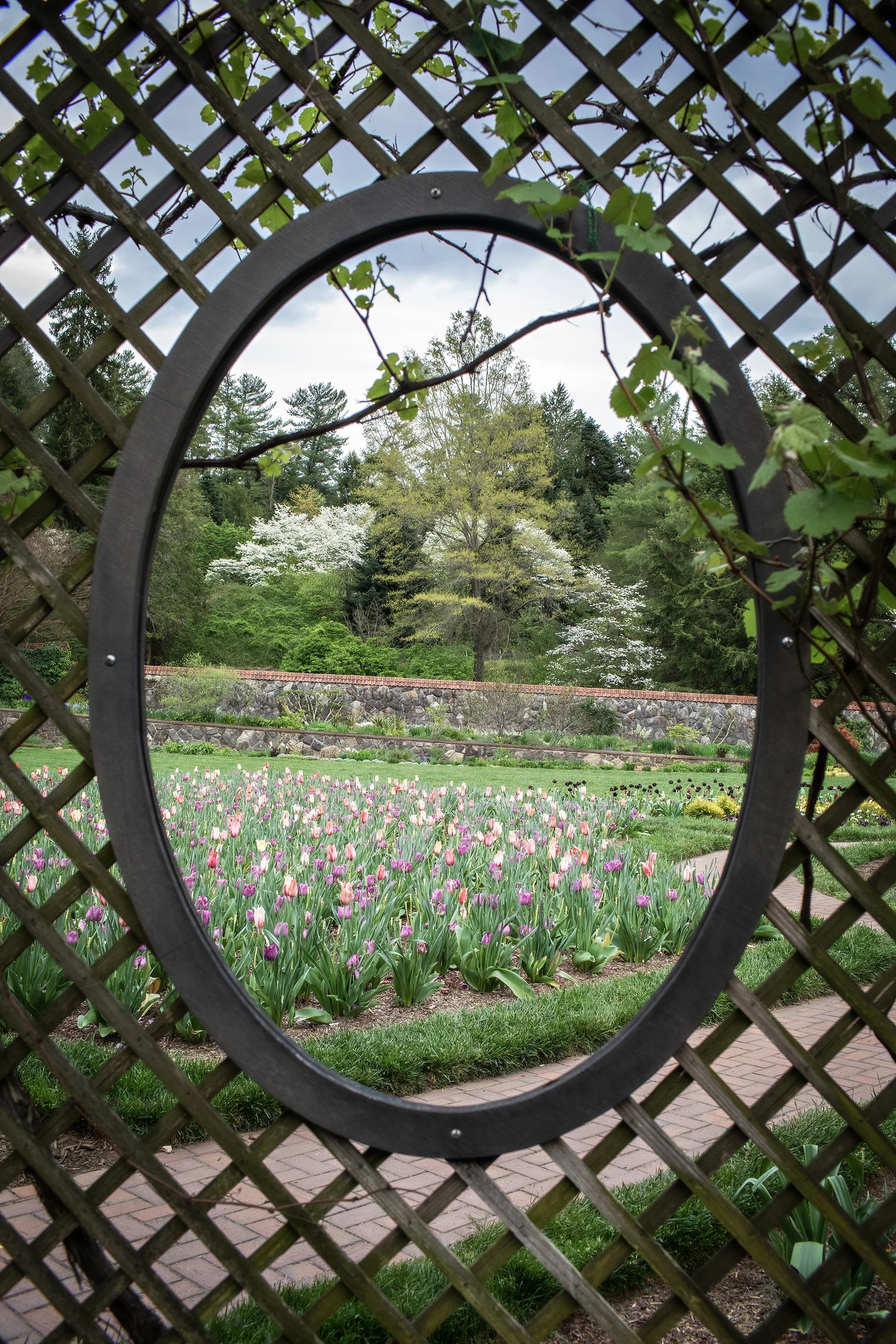 BiltmoreGardens_Spring202441 copy.jpg