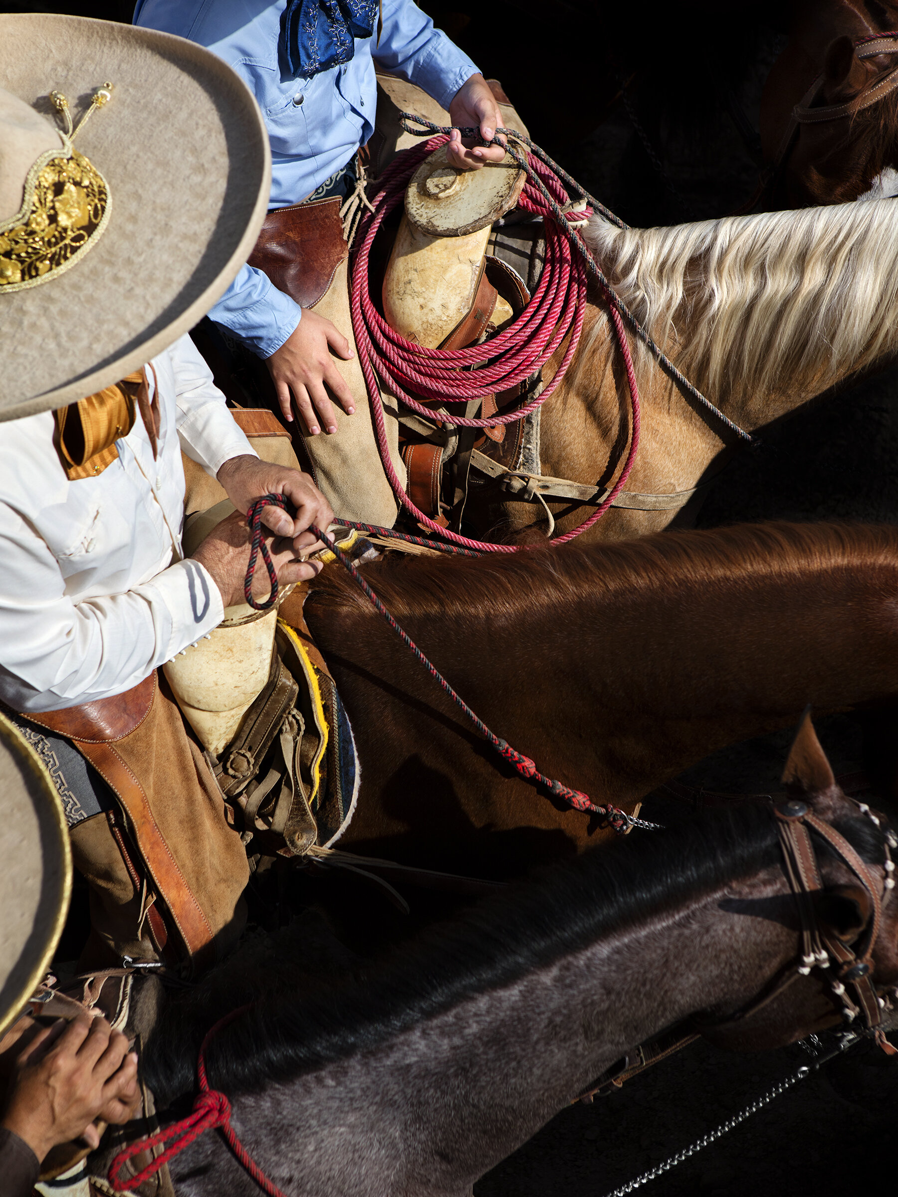 Charro Color Study-18x24.jpg