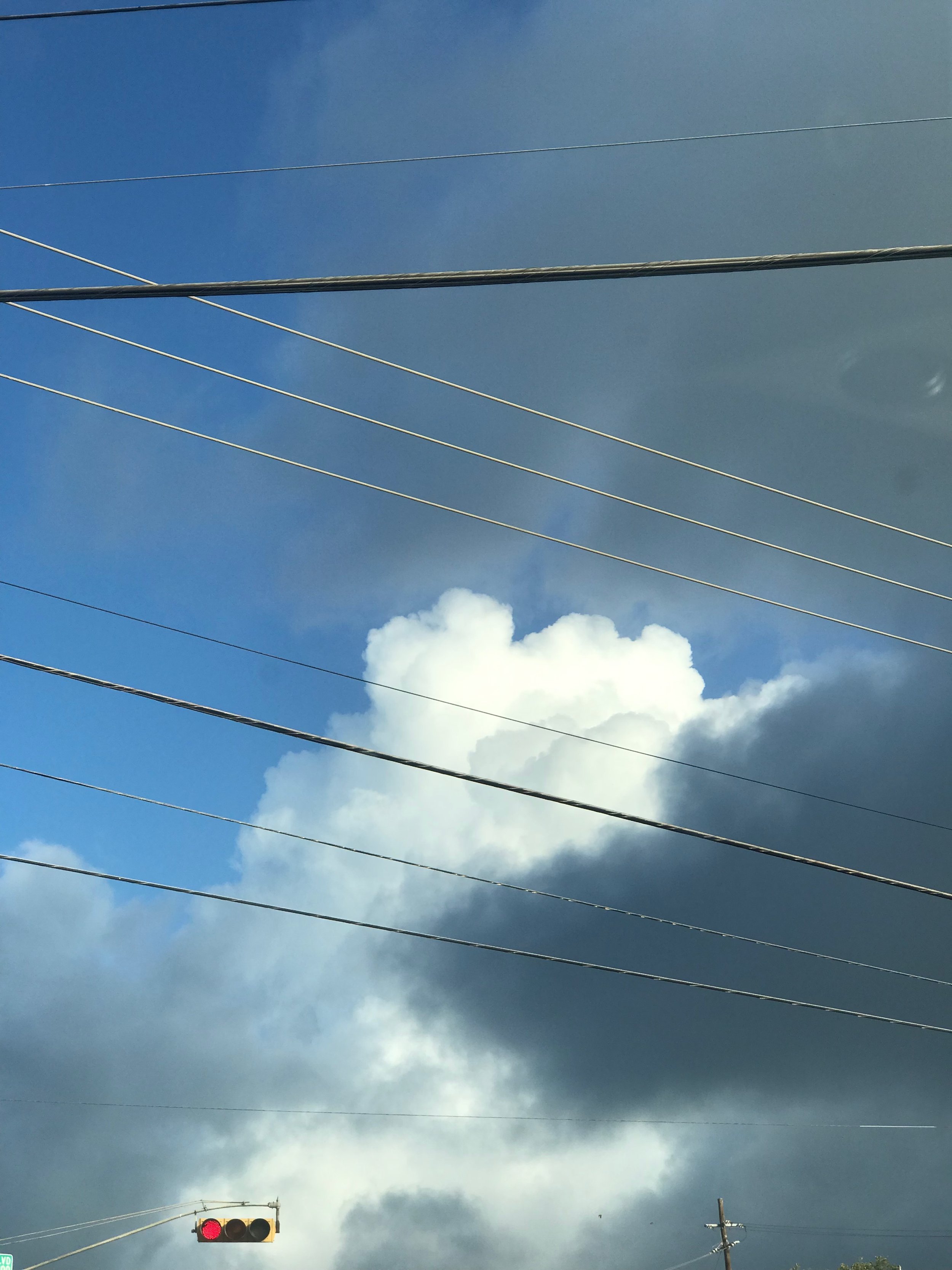 IMG_9463.jpeg