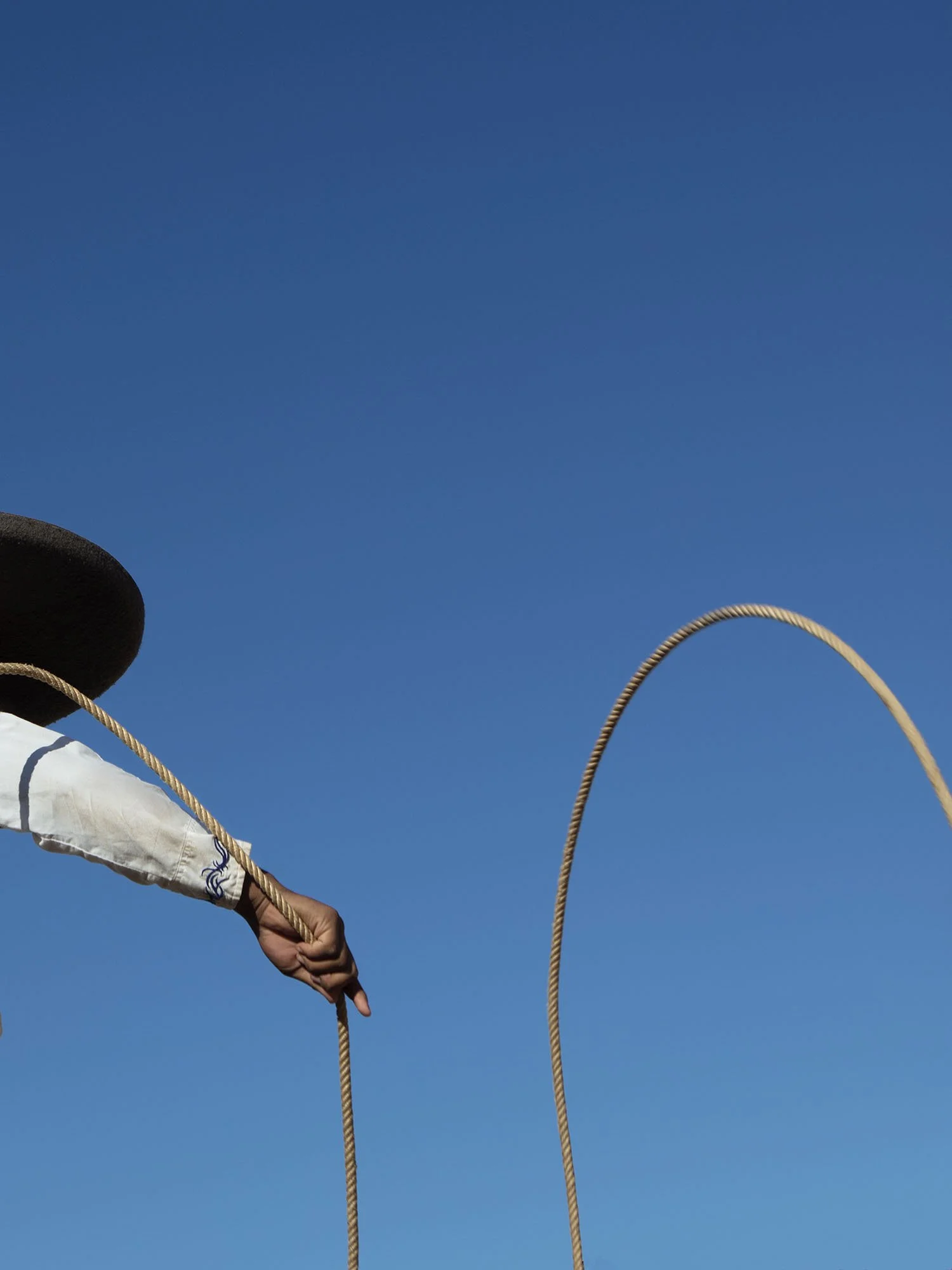 Lasso No.3-18x24-NEW-Edit.jpg