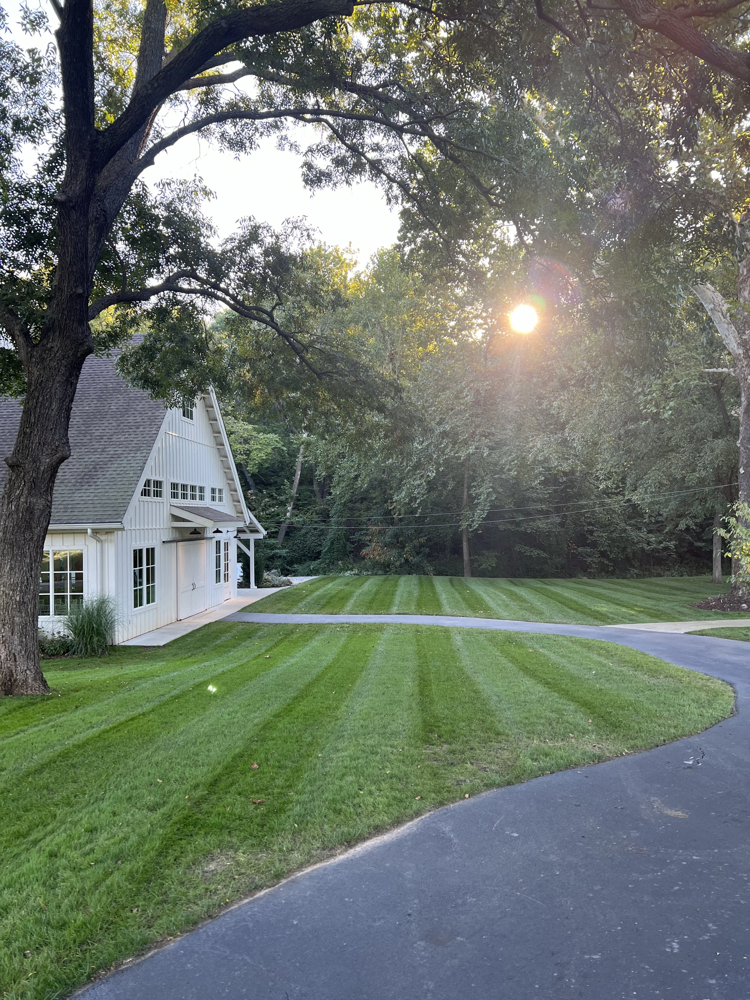 Spain Ranch Landscape.JPG